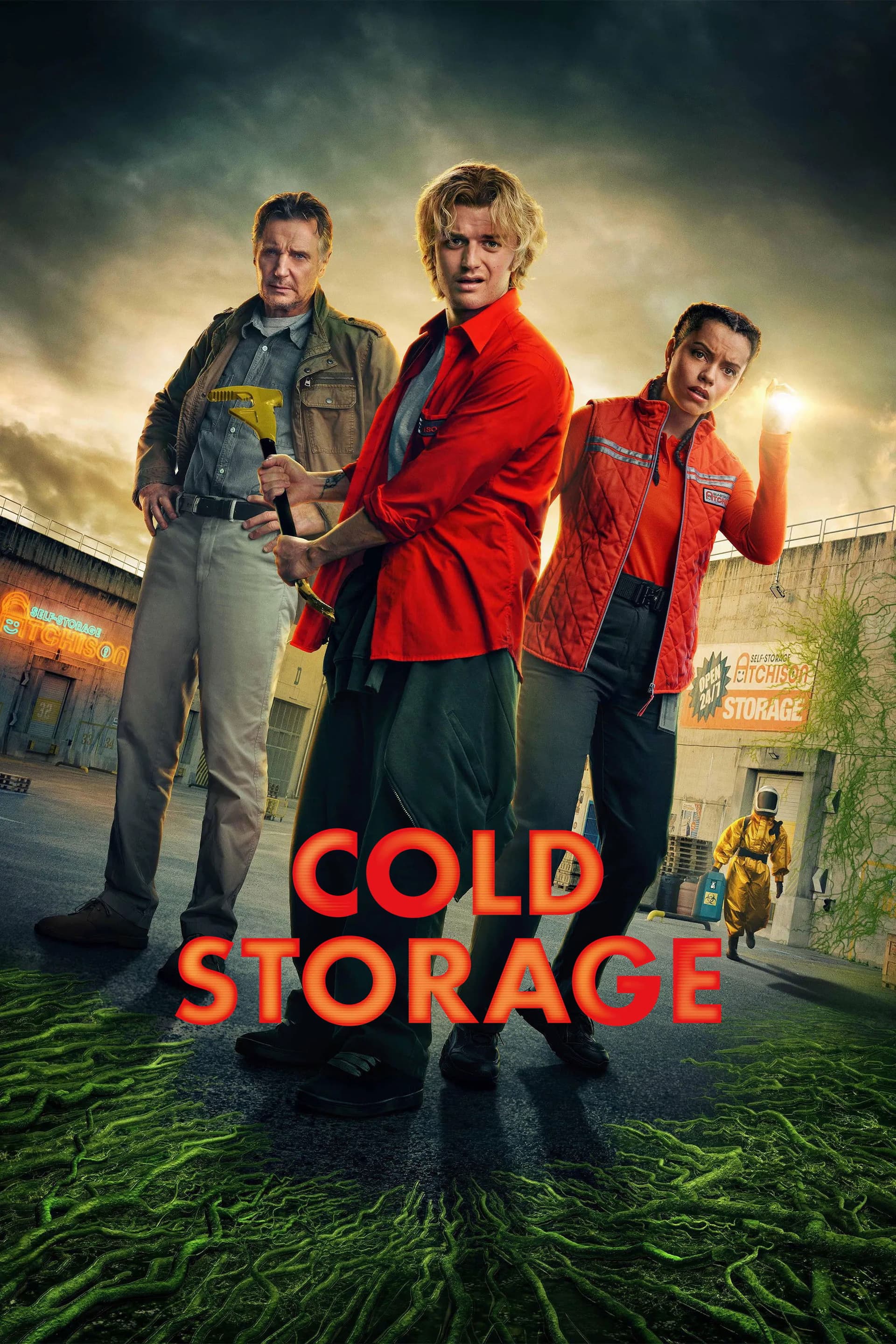 Cold Storage poster image