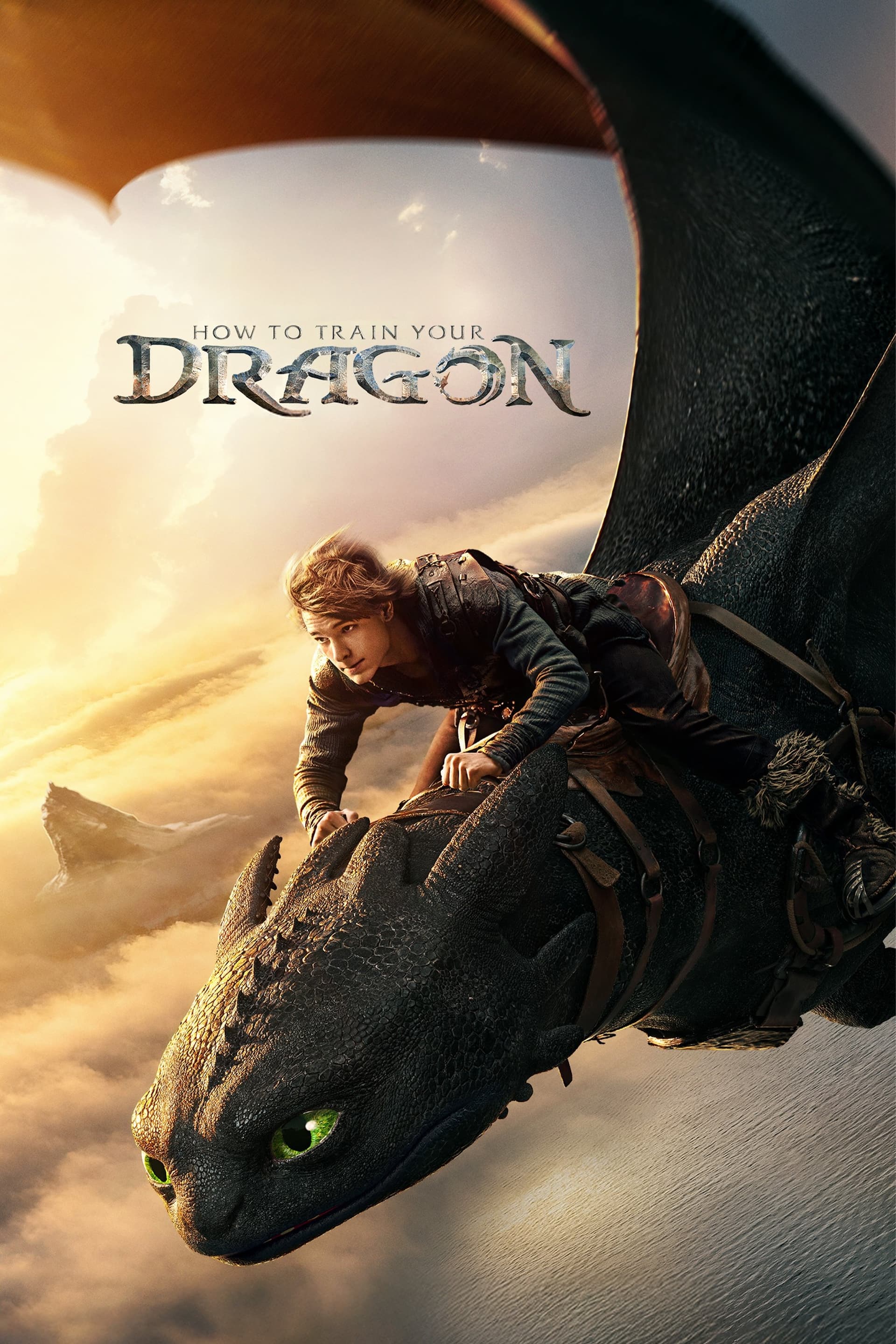 How to Train Your Dragon poster image