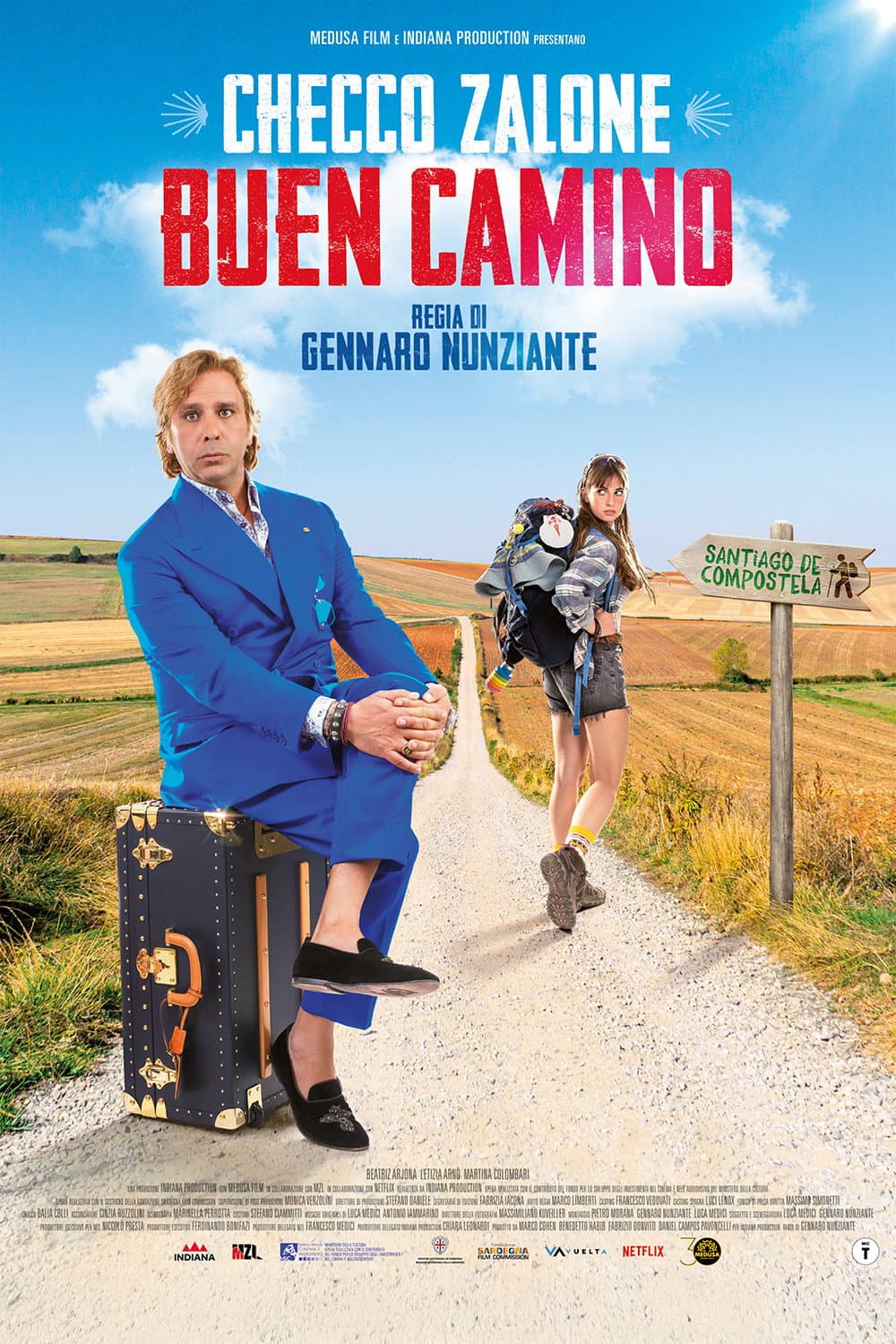Buen Camino poster image