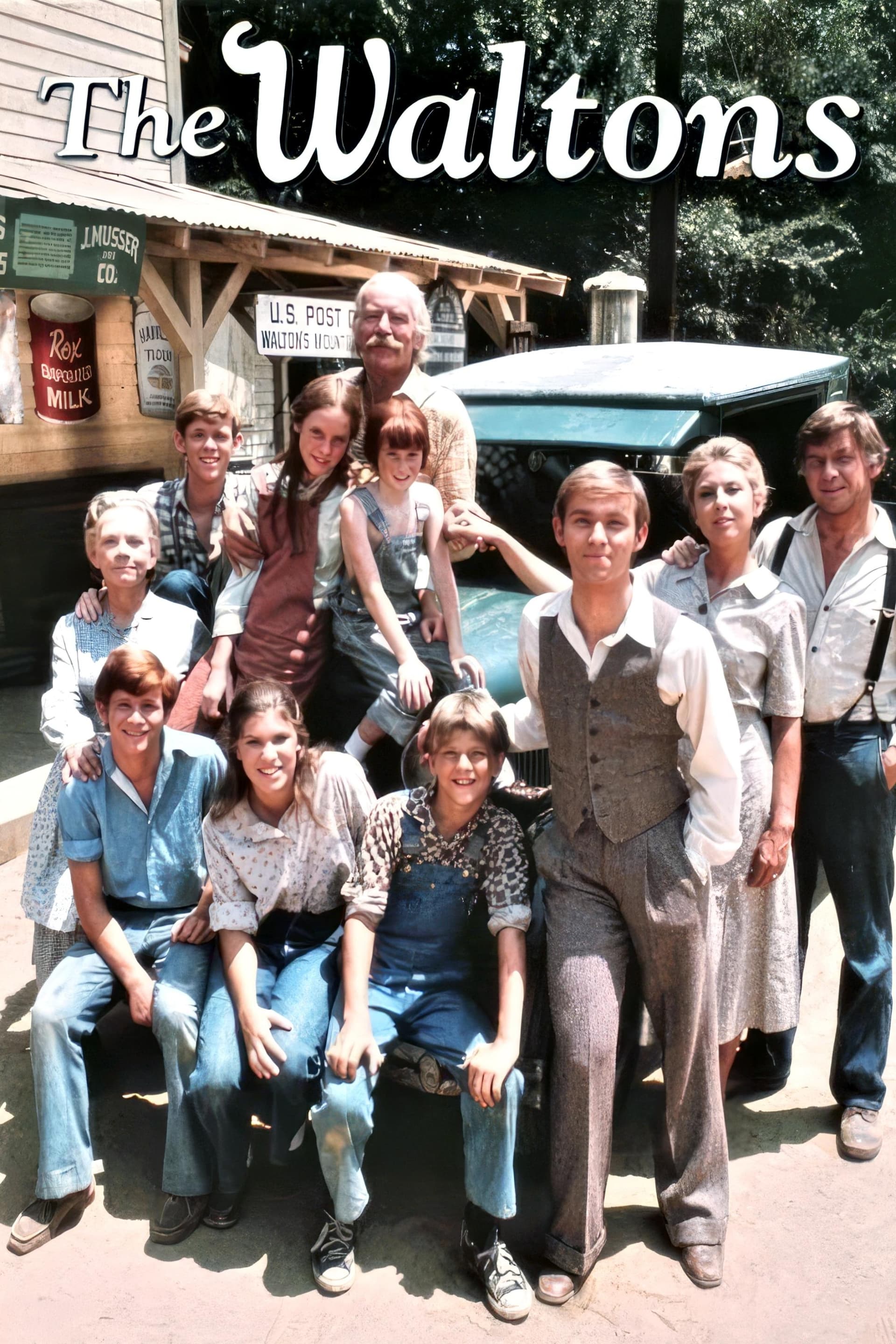 The Waltons poster image