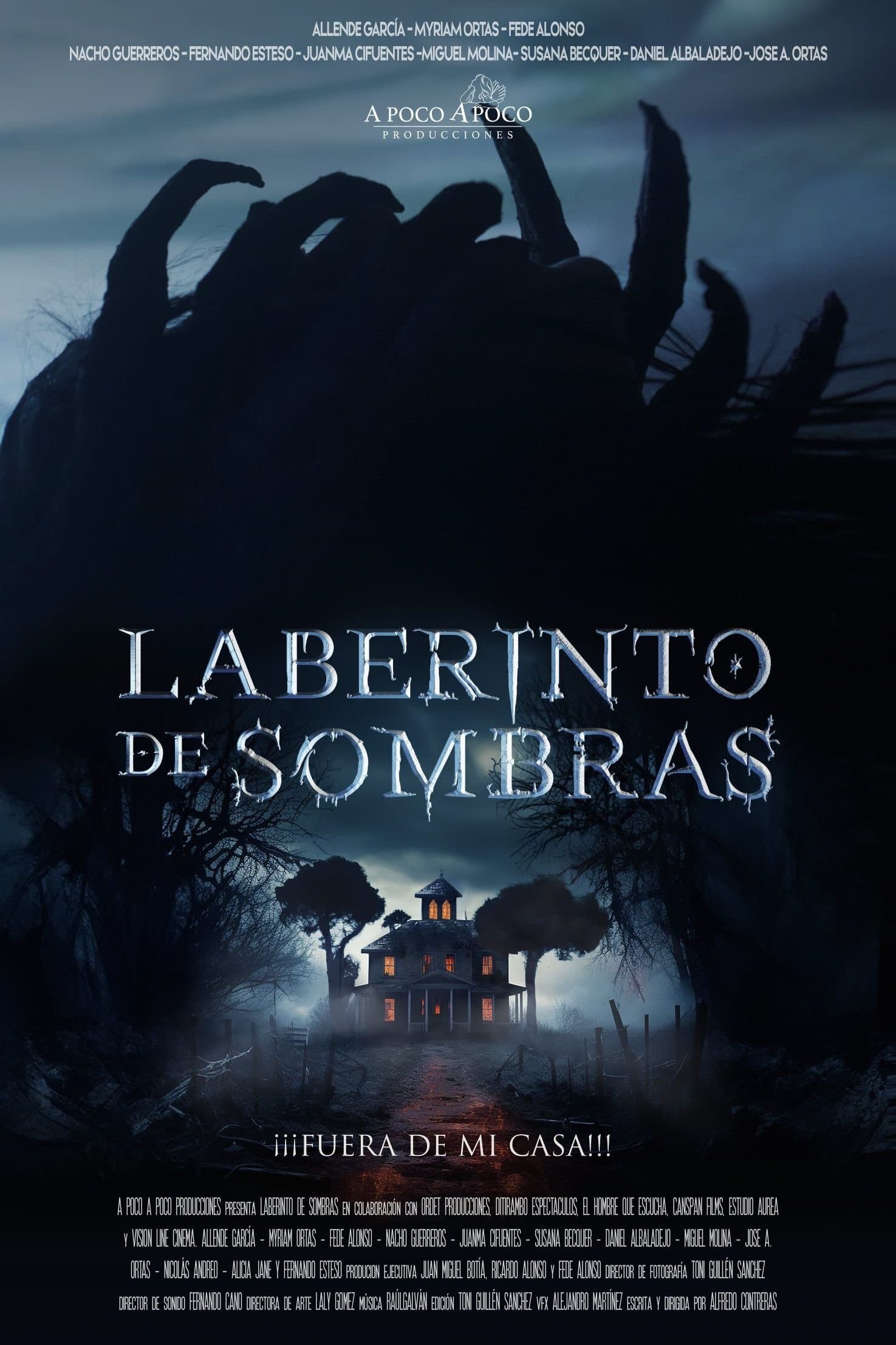 Laberinto de sombras poster image