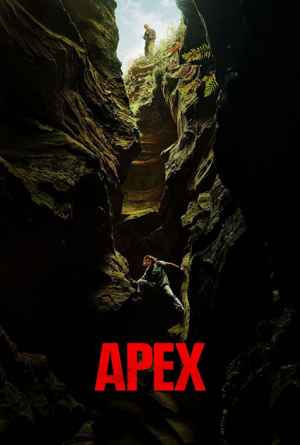 Apex poster image
