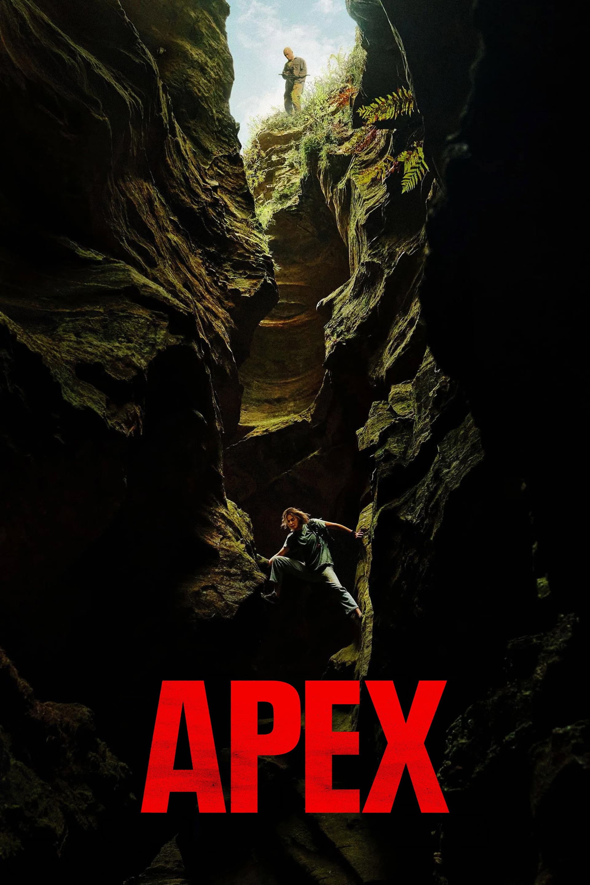 Apex poster image
