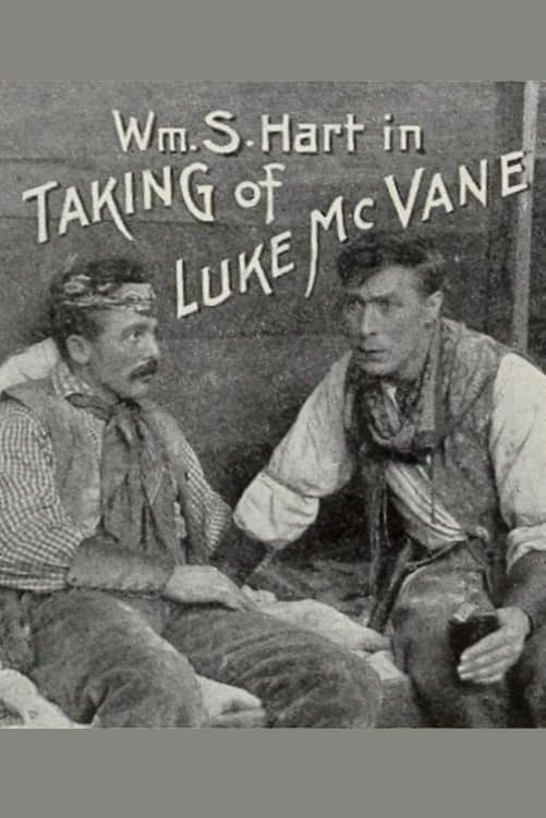 The Taking of Luke McVane poster image