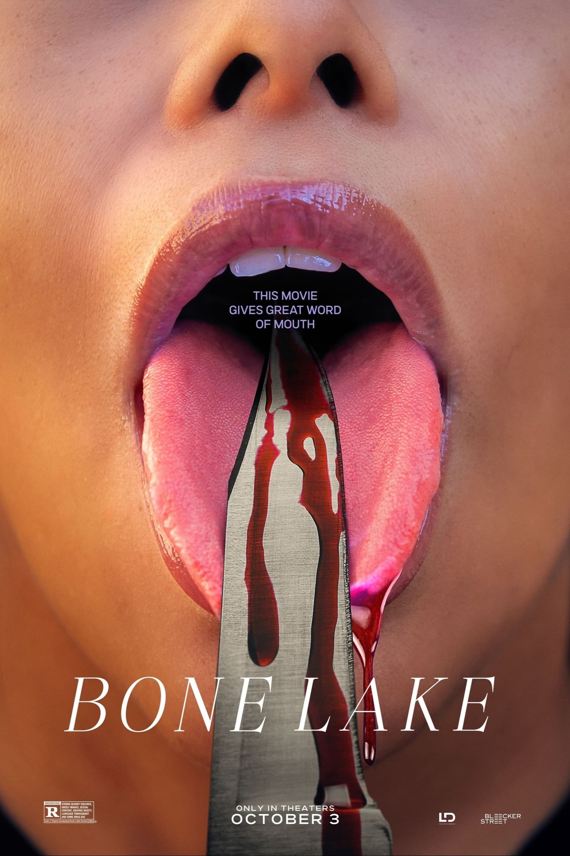 Bone Lake poster image