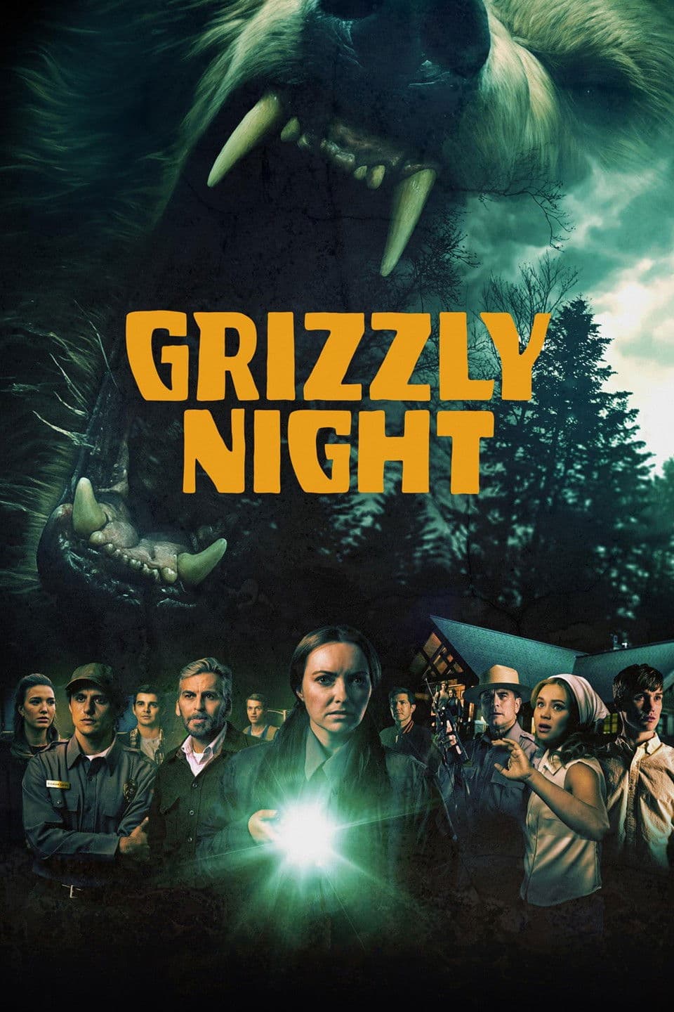 Grizzly Night poster image