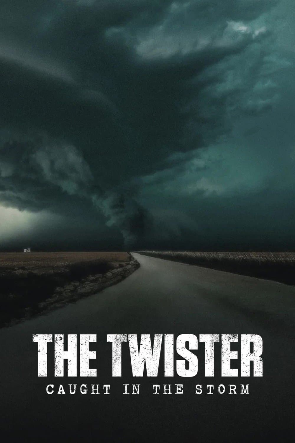 The Twister: Caught in the Storm poster image