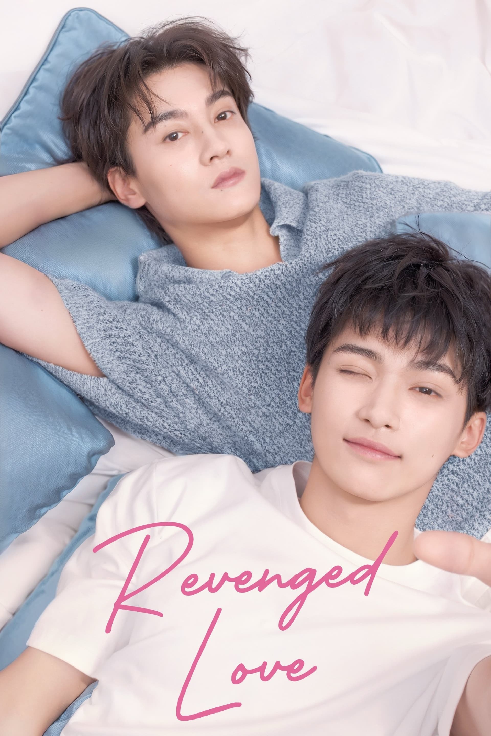 Revenged Love poster image