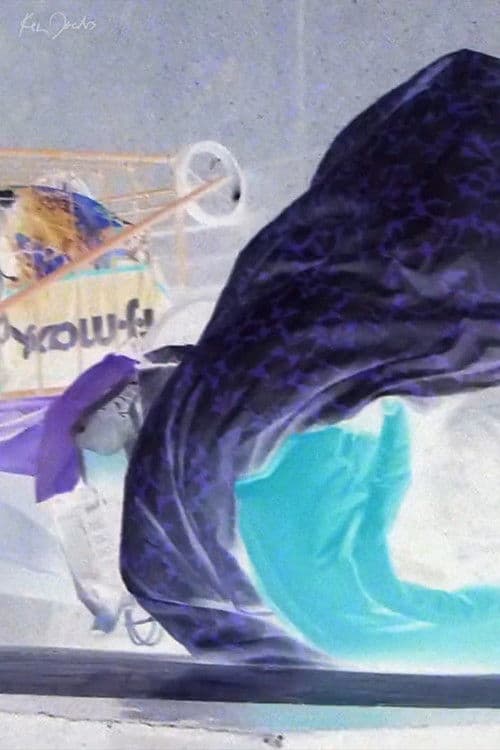 Sleeping American poster image