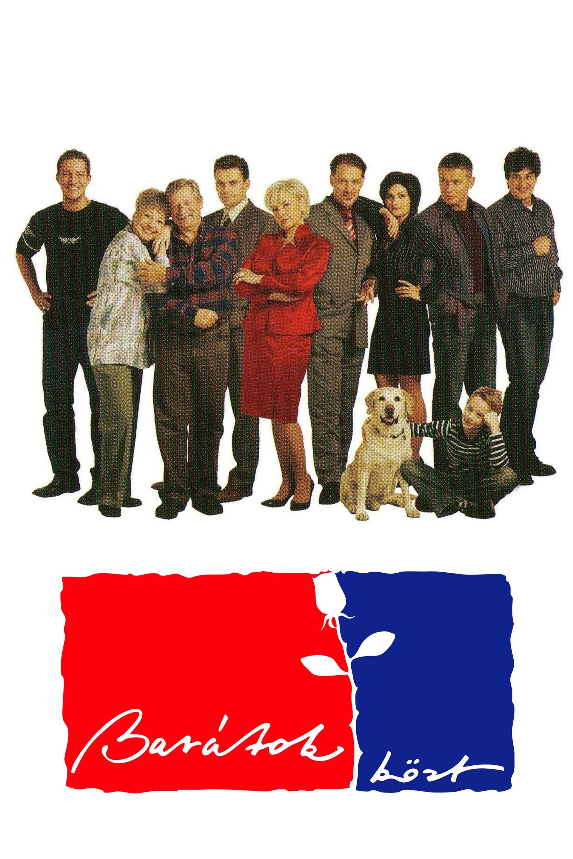 Among Friends poster image