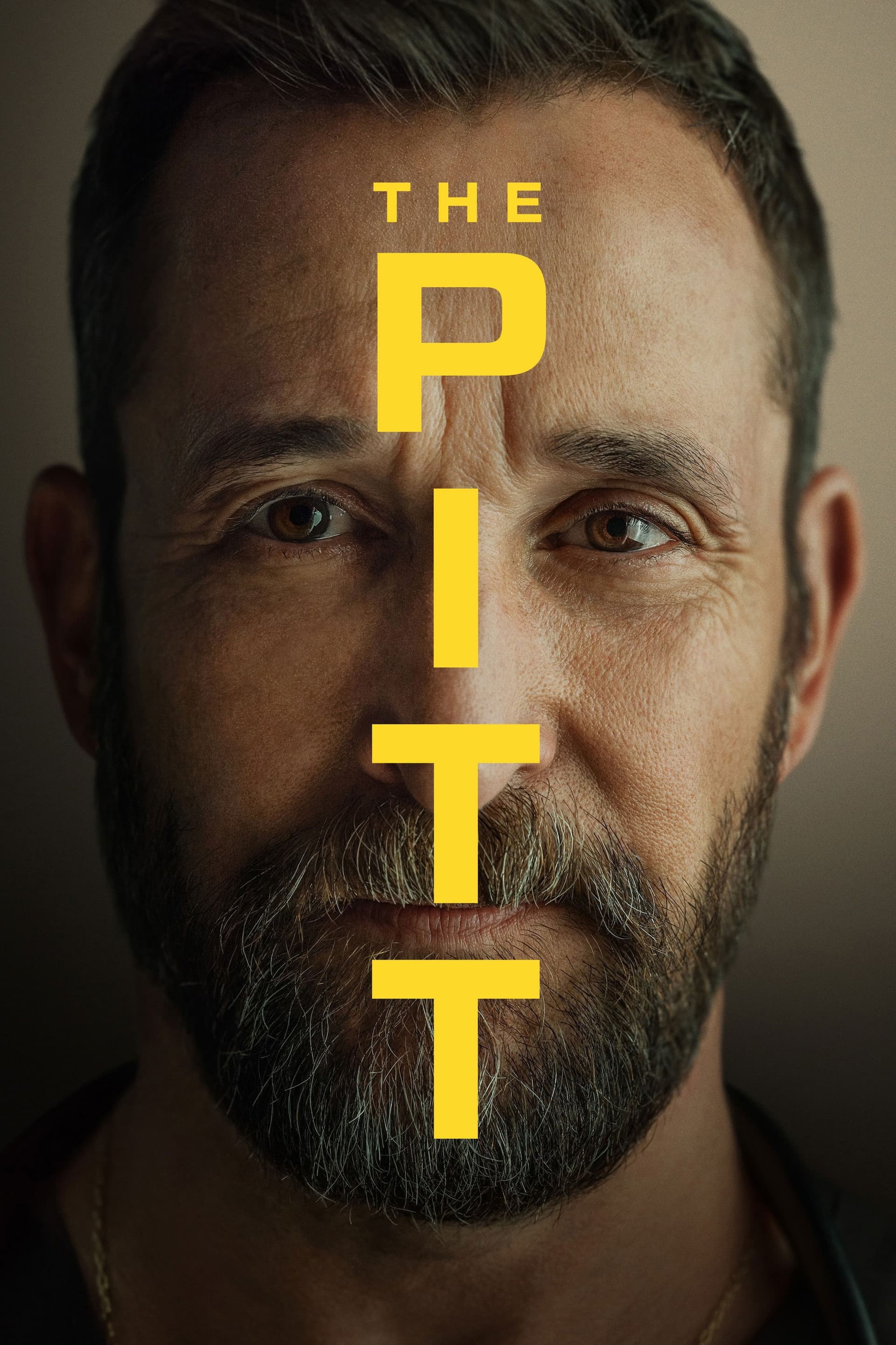 The Pitt poster image
