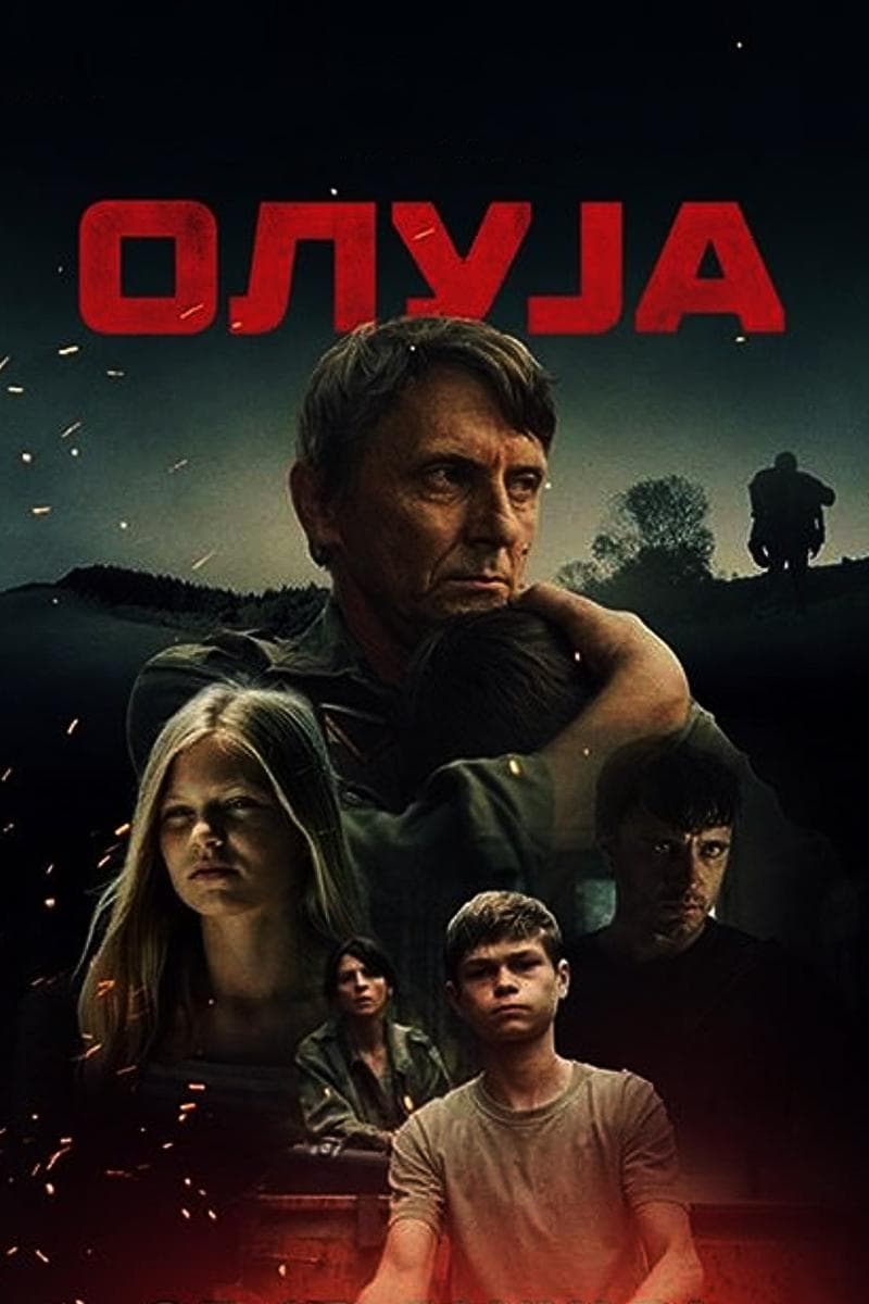 Operation Storm poster image