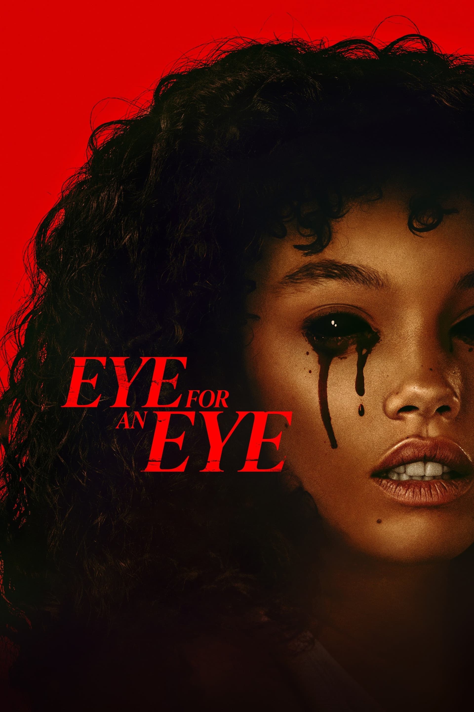 Eye for an Eye poster image