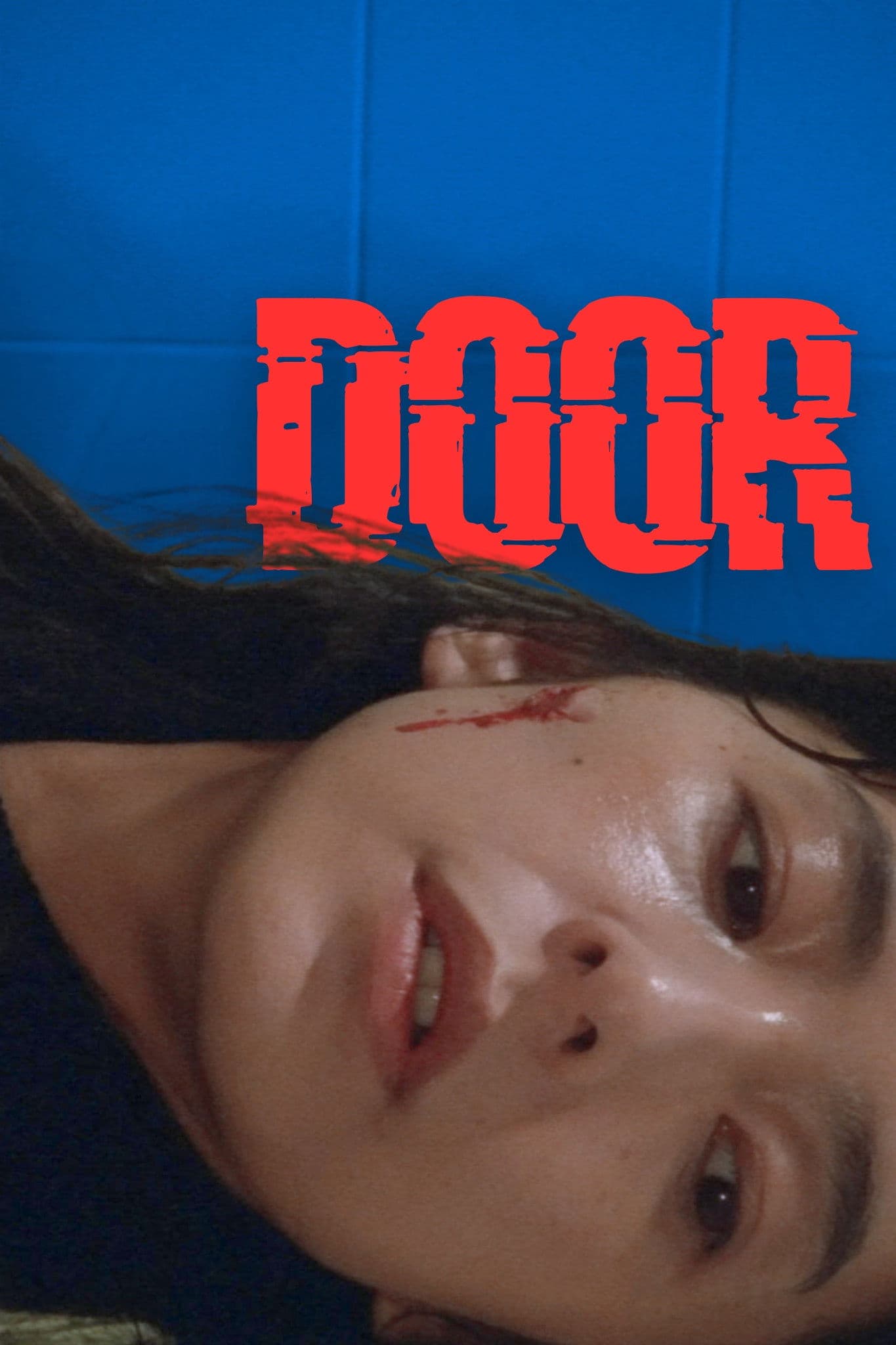 Door poster image