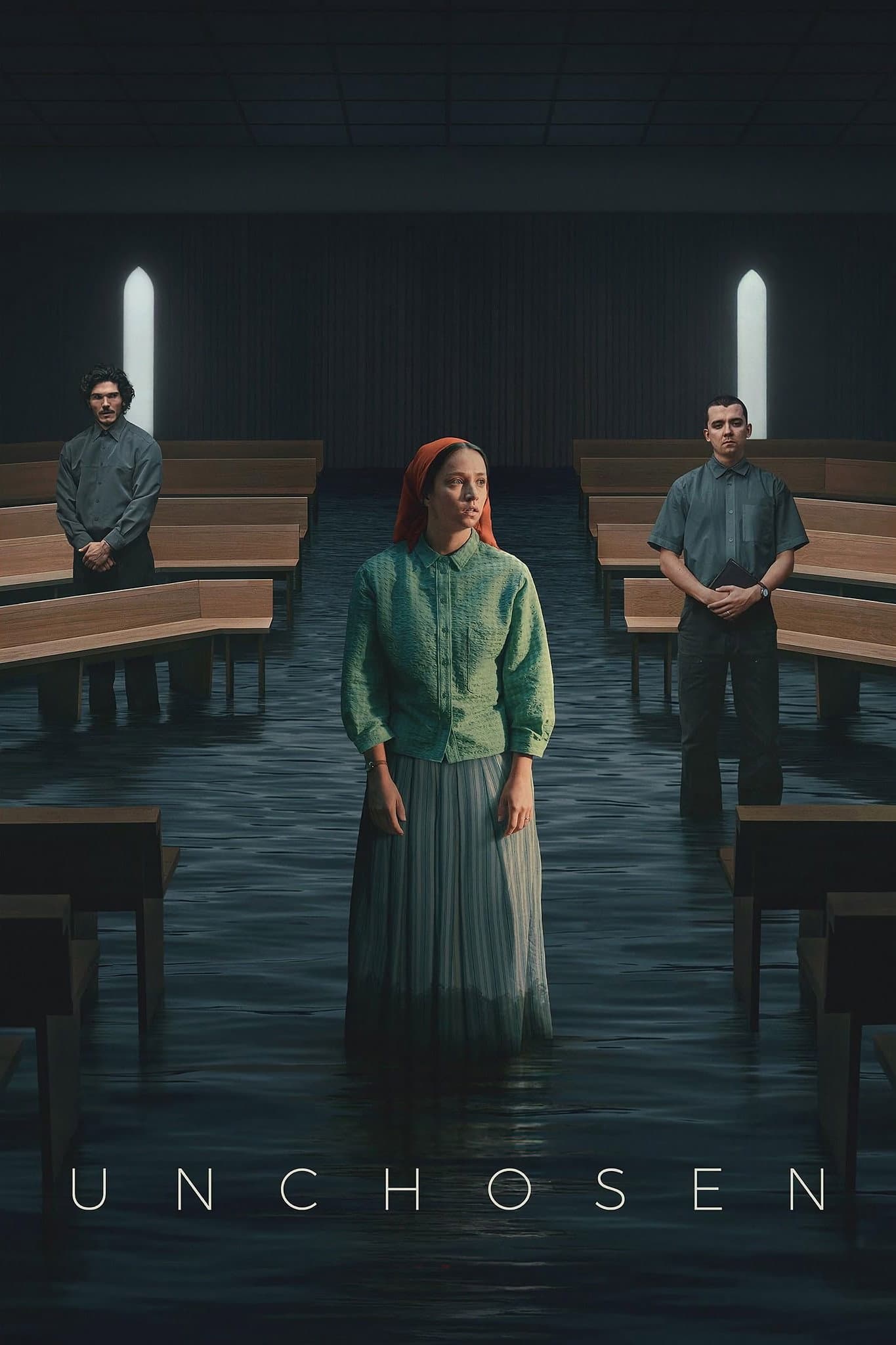 Unchosen poster image