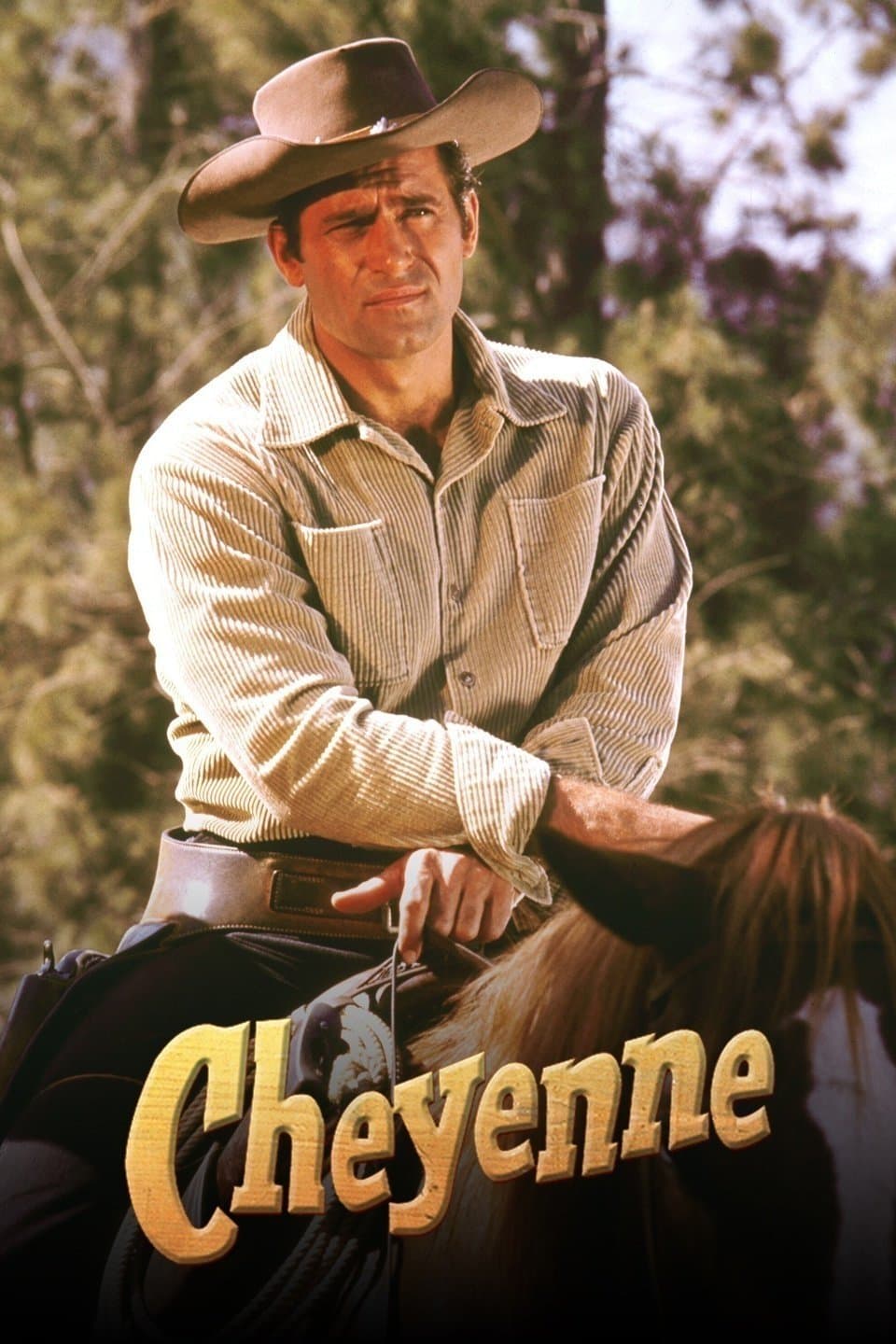 Cheyenne poster image