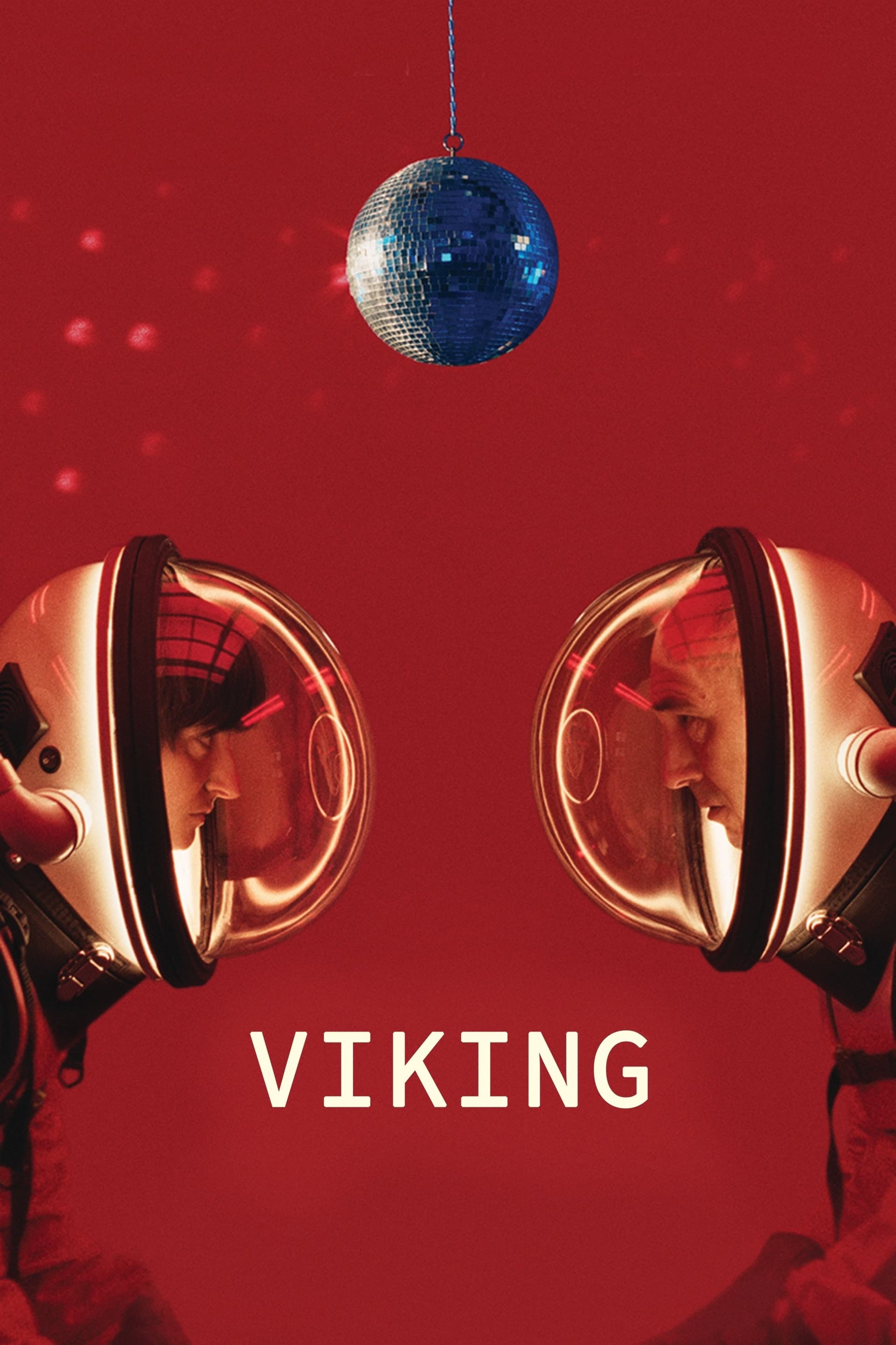 Viking poster image