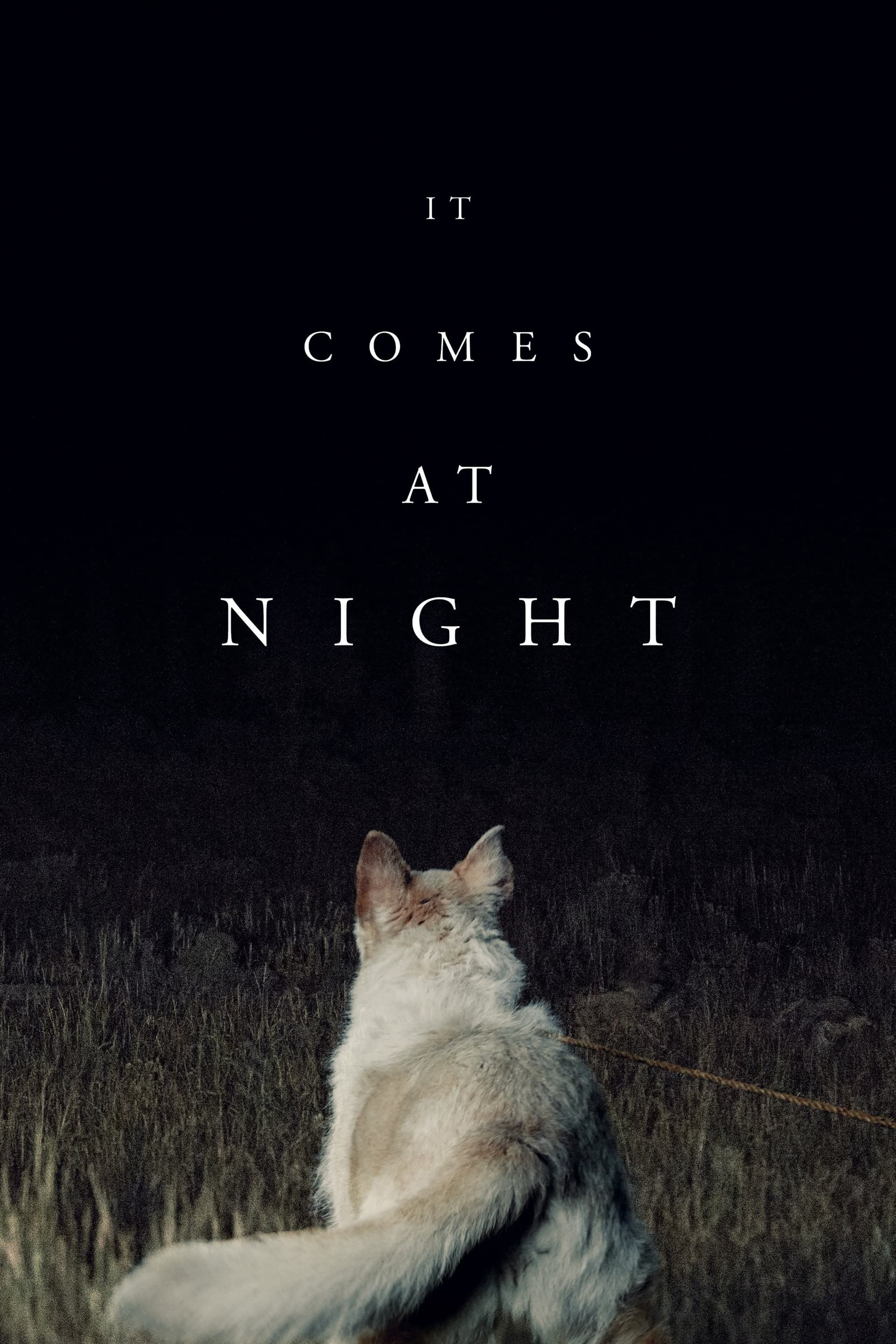 It Comes at Night poster image