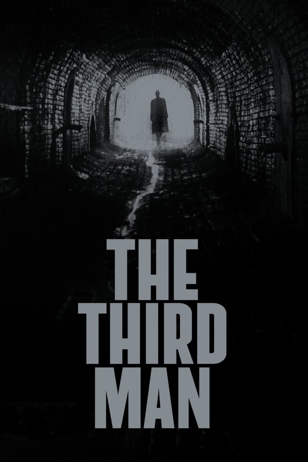 The Third Man poster image