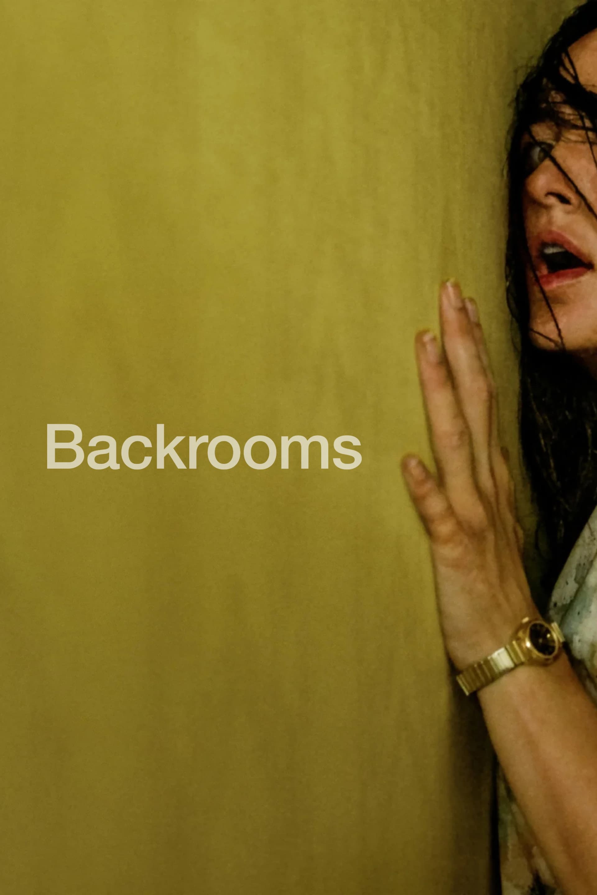 Backrooms poster image