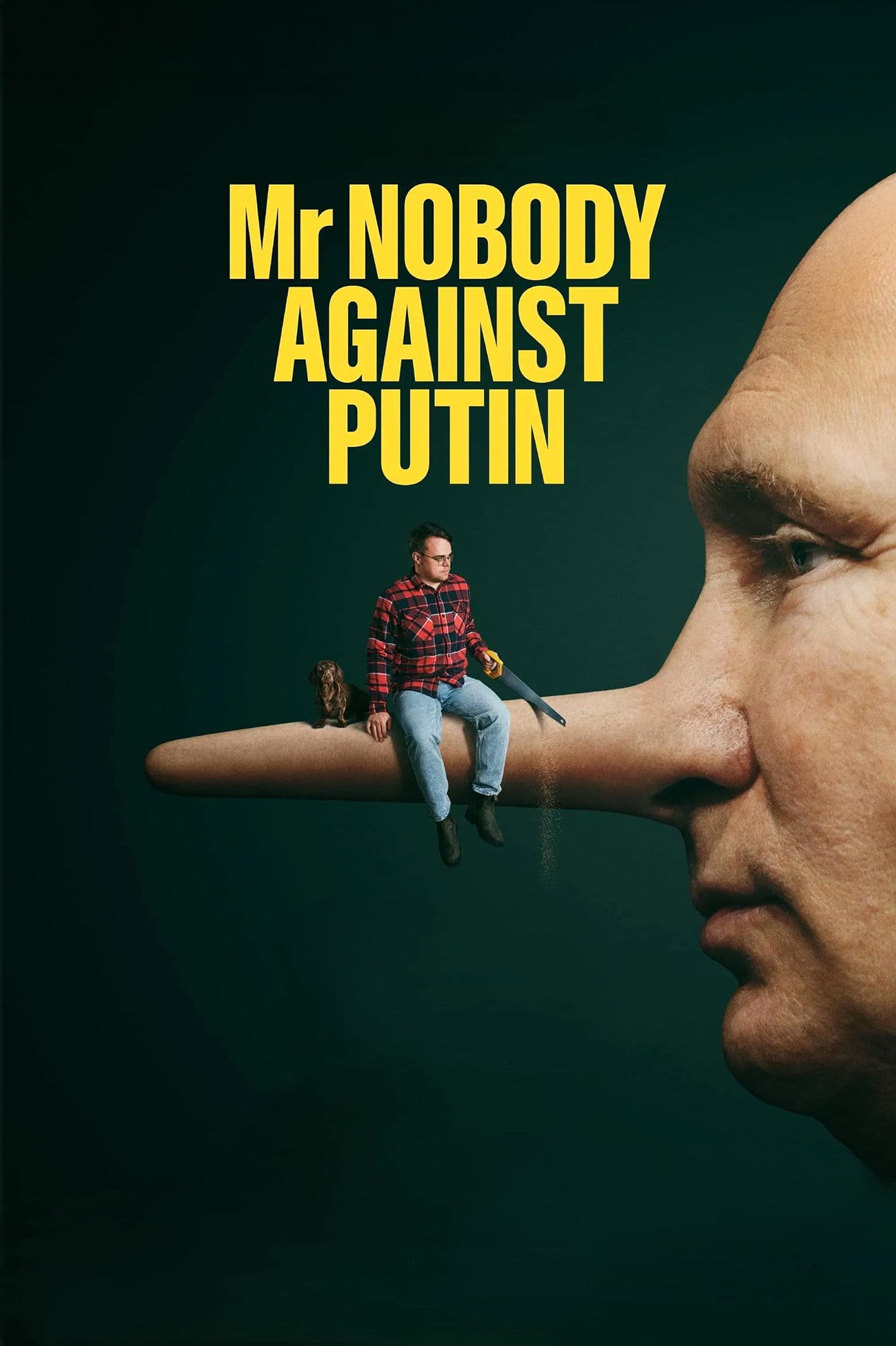 Mr. Nobody Against Putin poster image