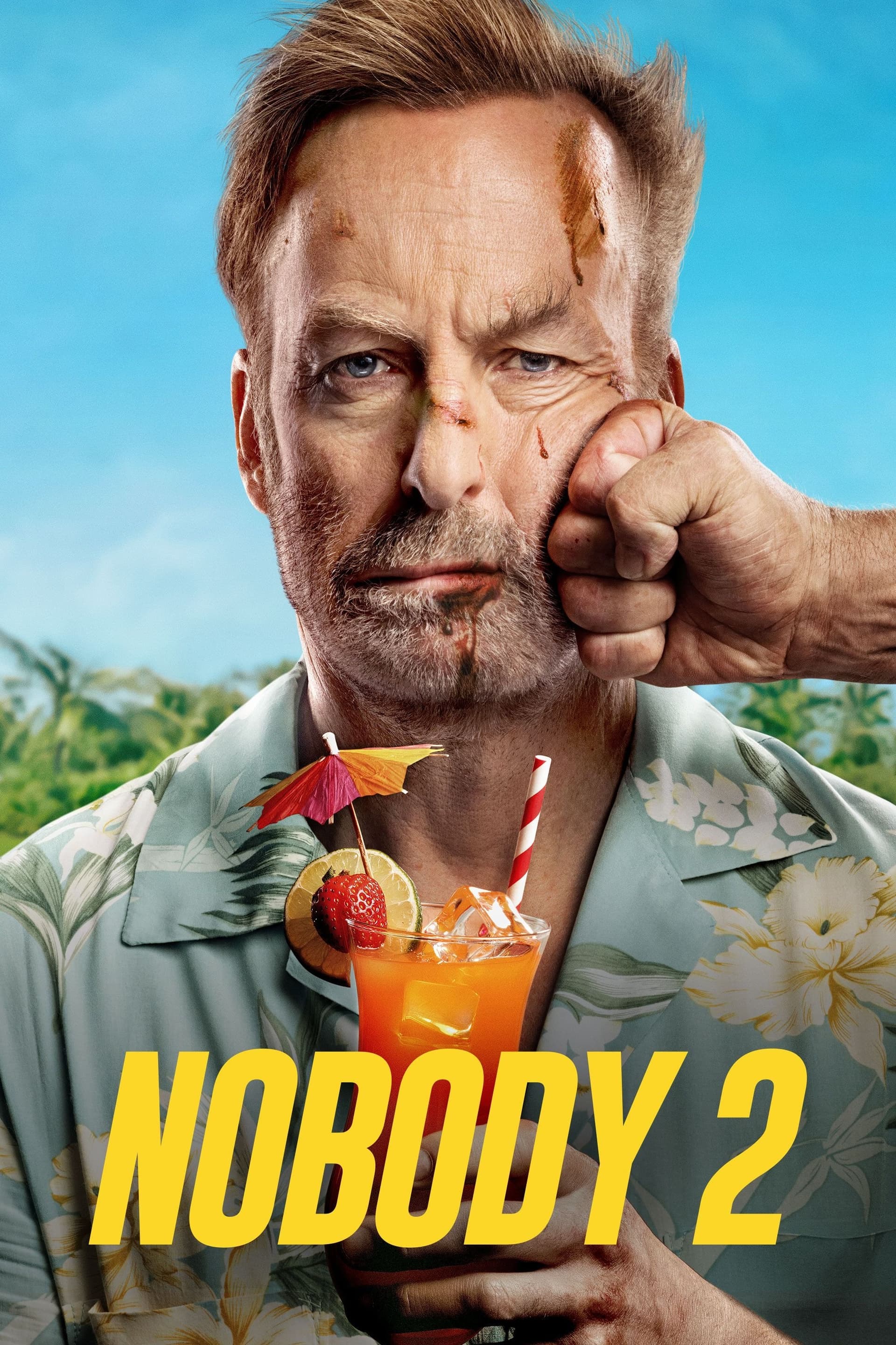 Nobody 2 poster image