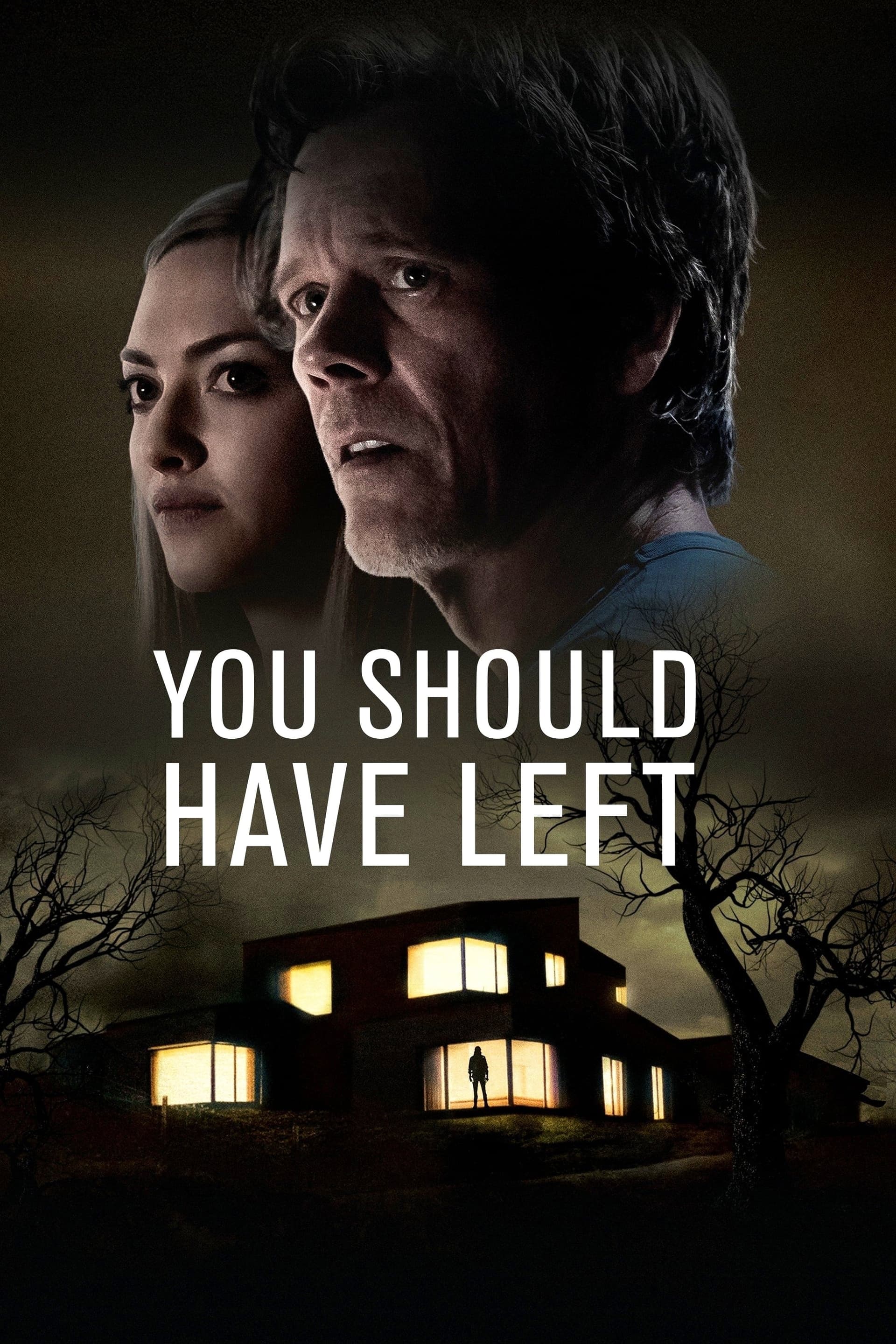 You Should Have Left poster image