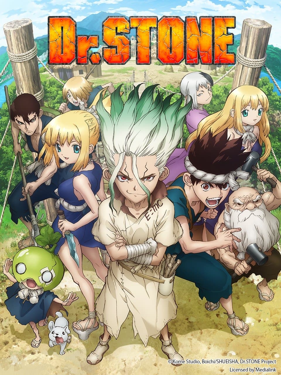 Dr. STONE poster image