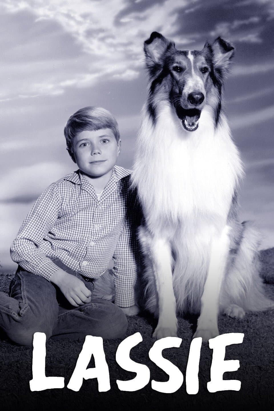 Lassie poster image