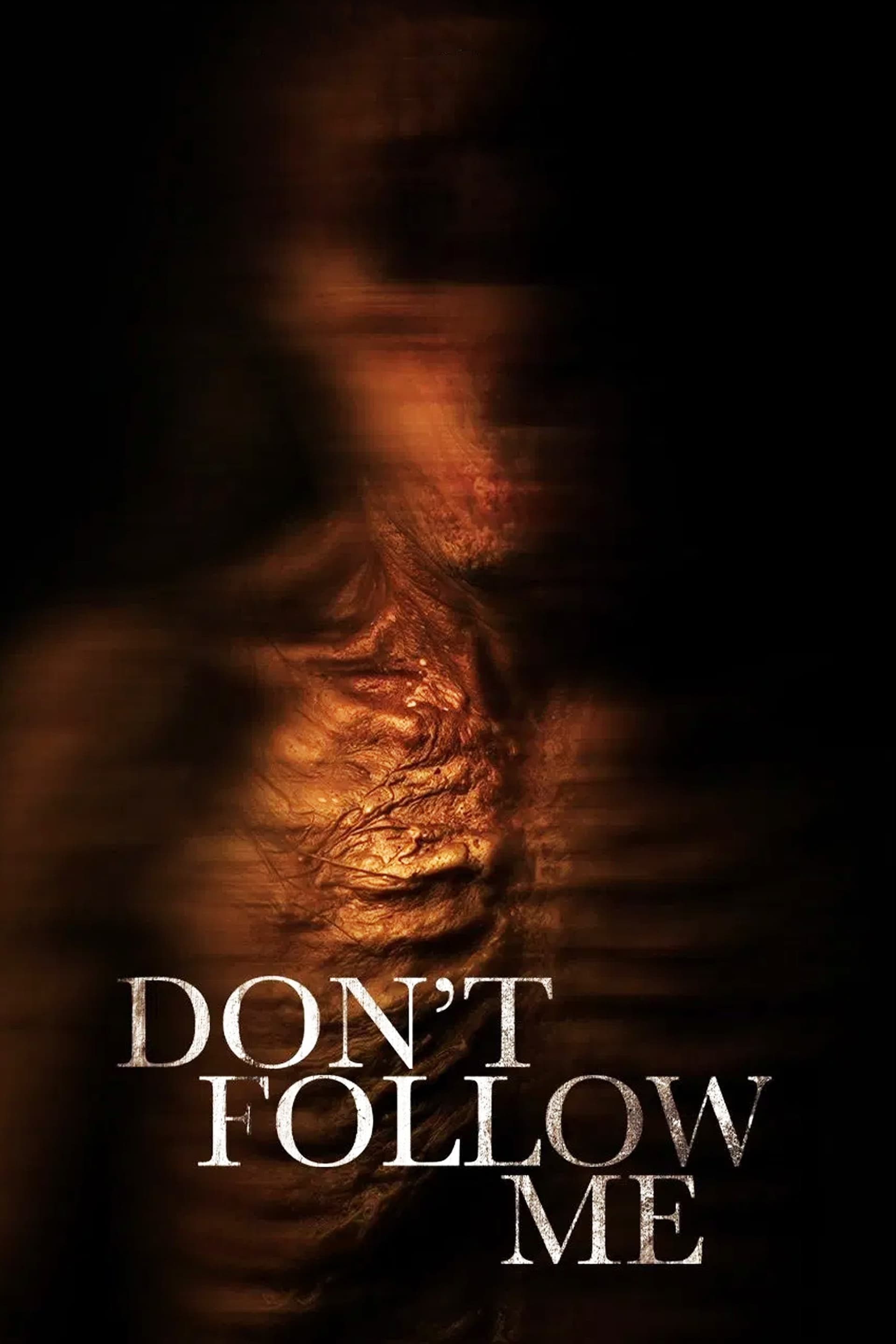 Don't Follow Me poster image