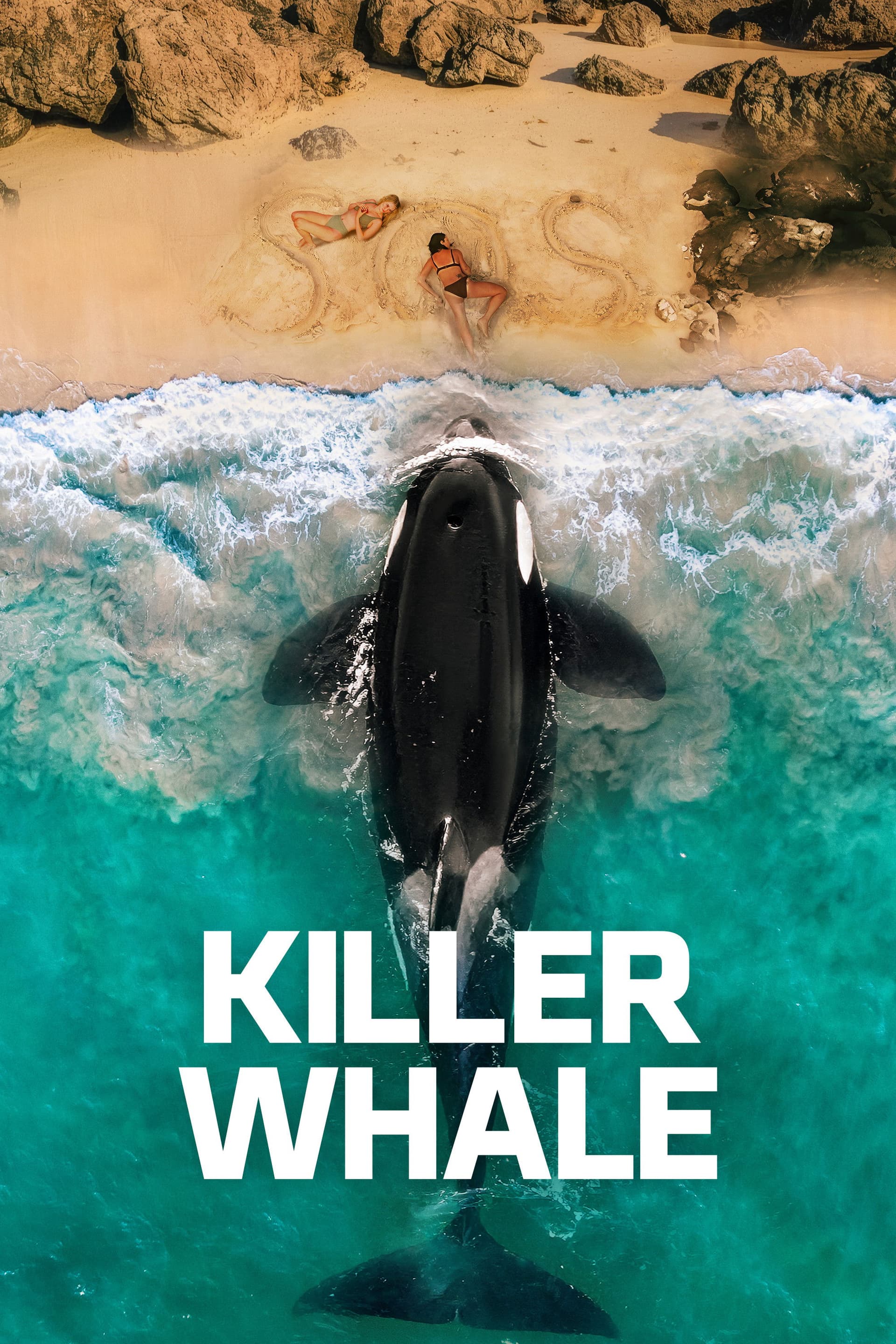 Killer Whale poster image