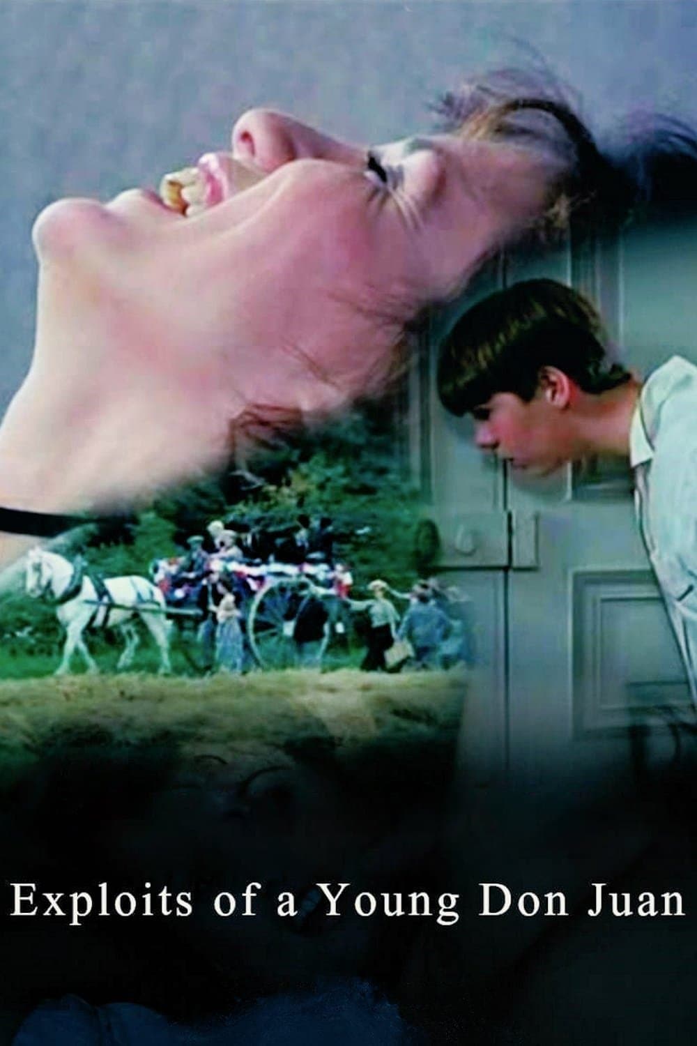 Exploits of a Young Don Juan poster image