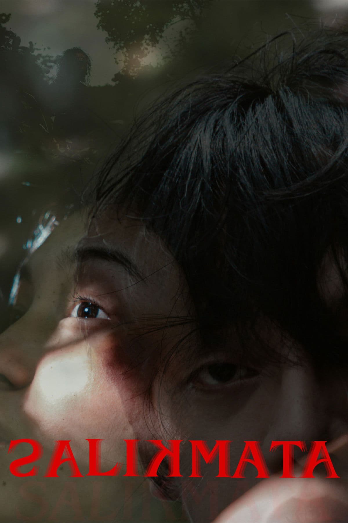 Salikmata poster image