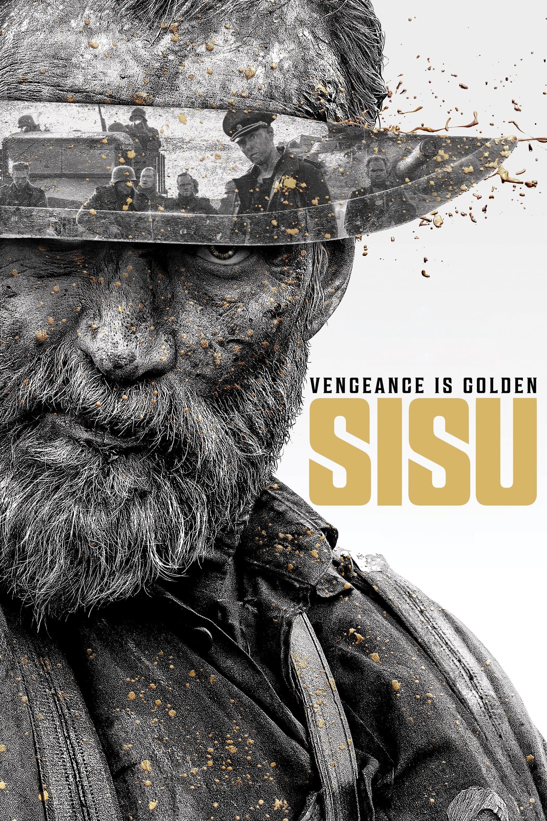 Sisu poster image