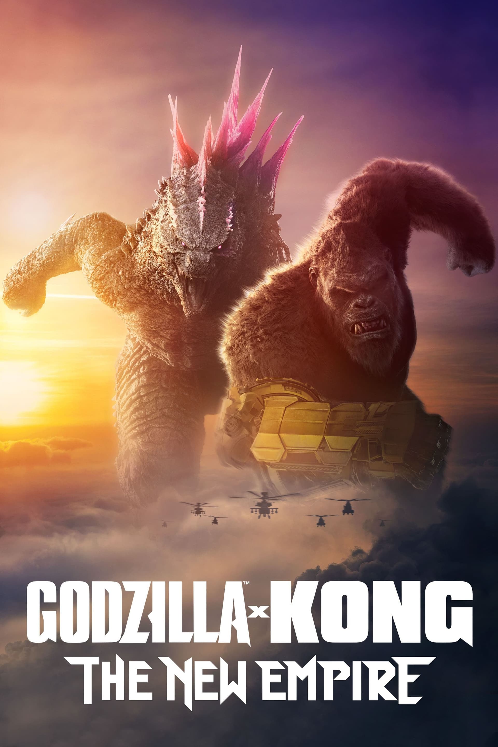 Godzilla x Kong: The New Empire poster image