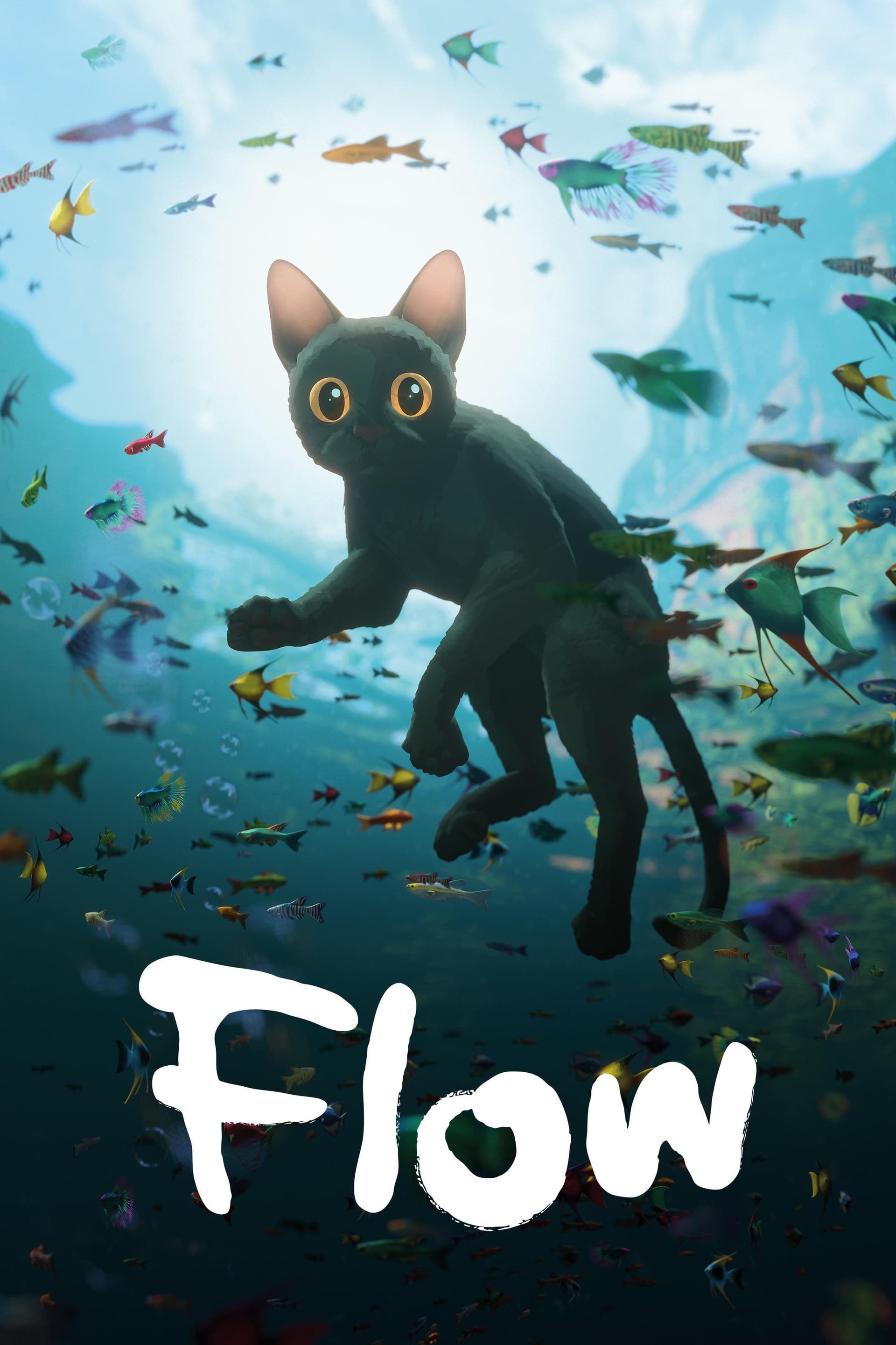 Flow poster image