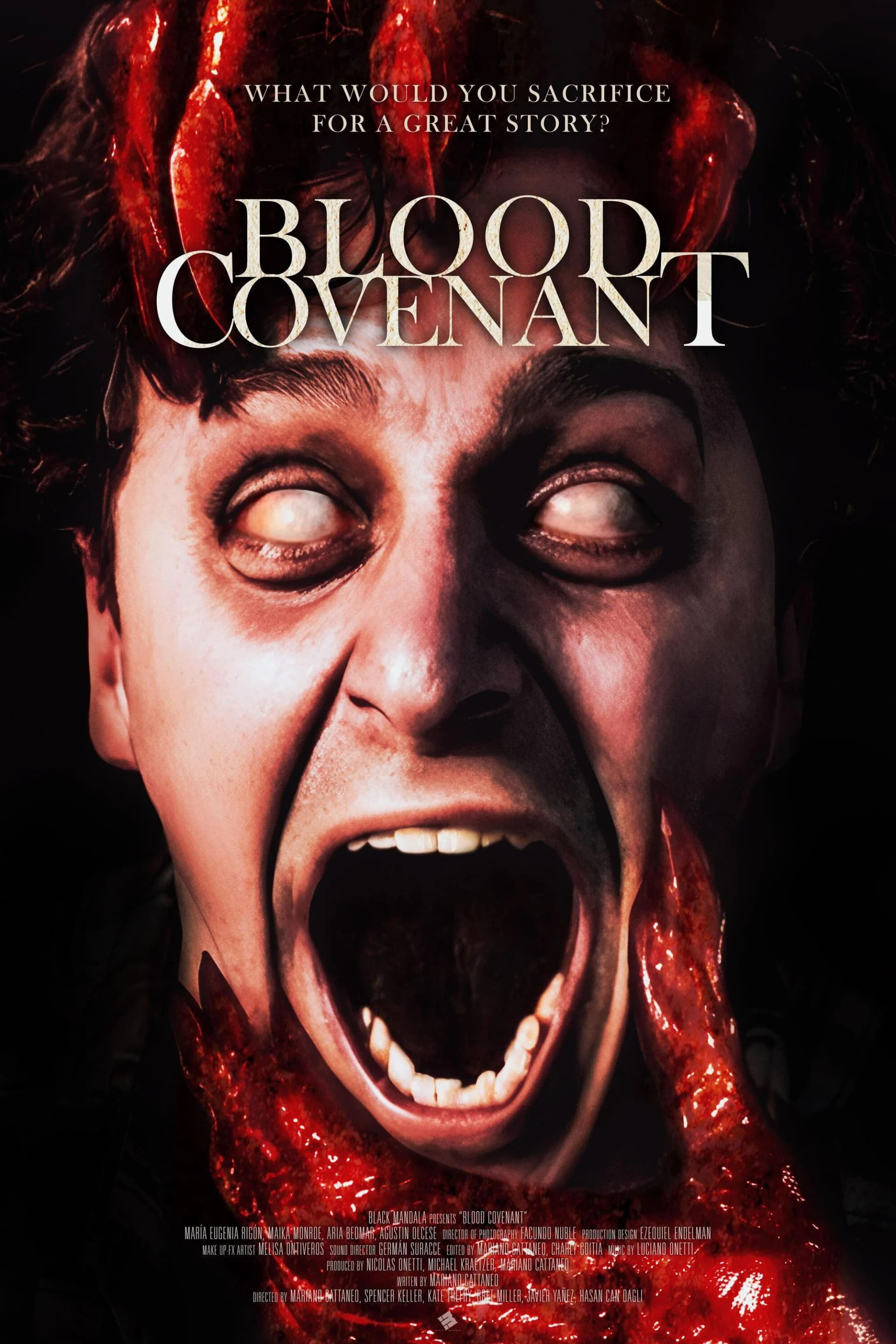 Blood Covenant poster image