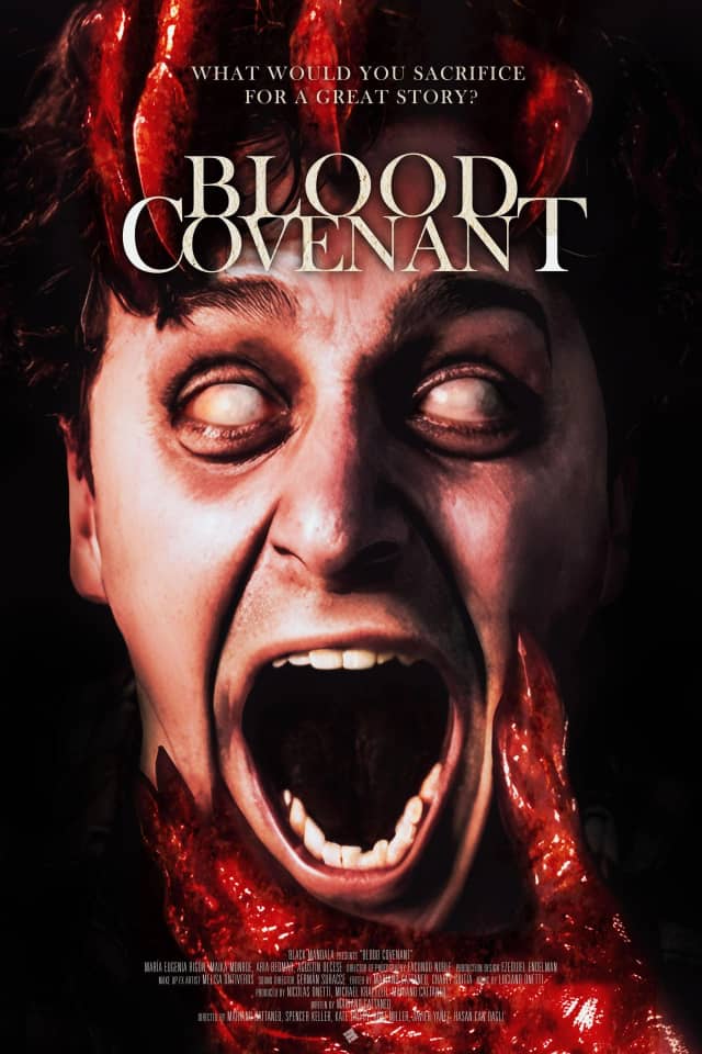 Blood Covenant poster image