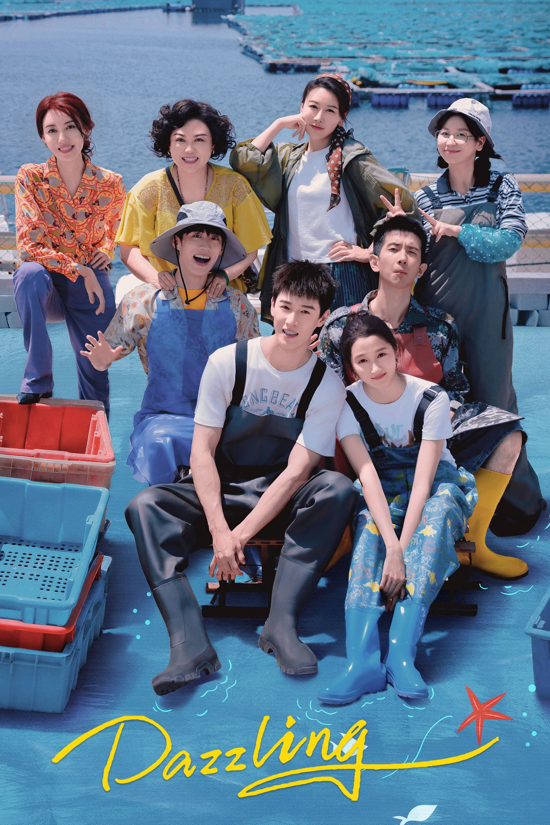 Dazzling poster image