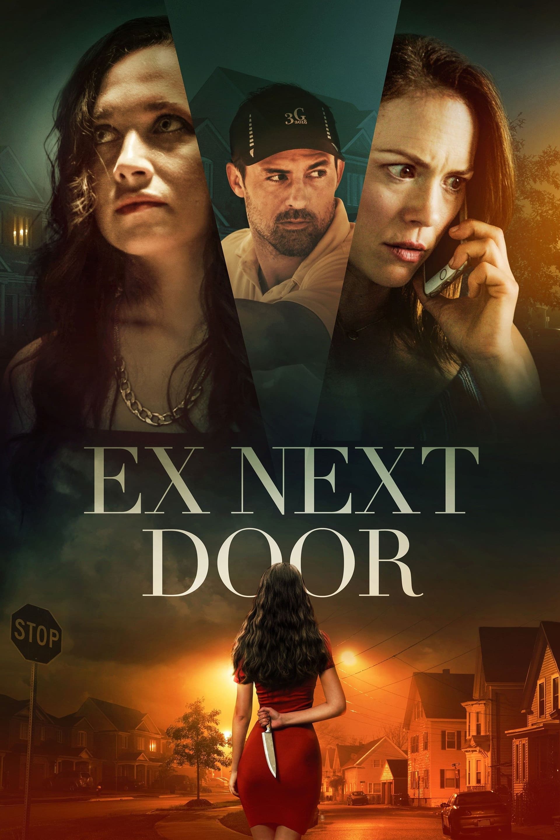 The Ex Next Door poster image