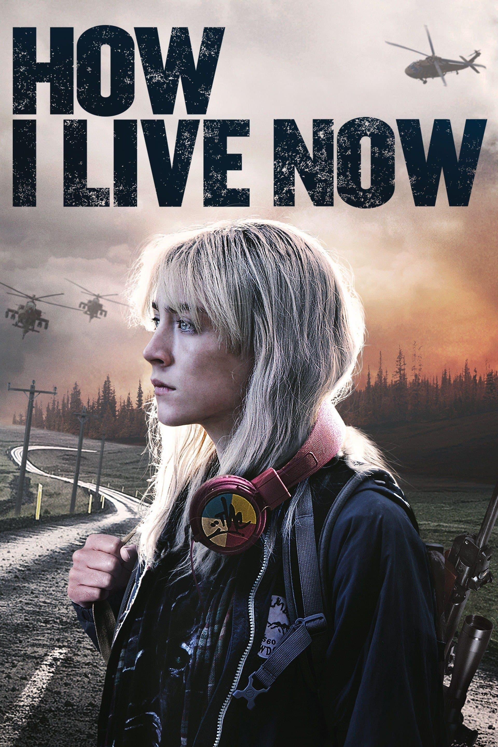 How I Live Now poster image
