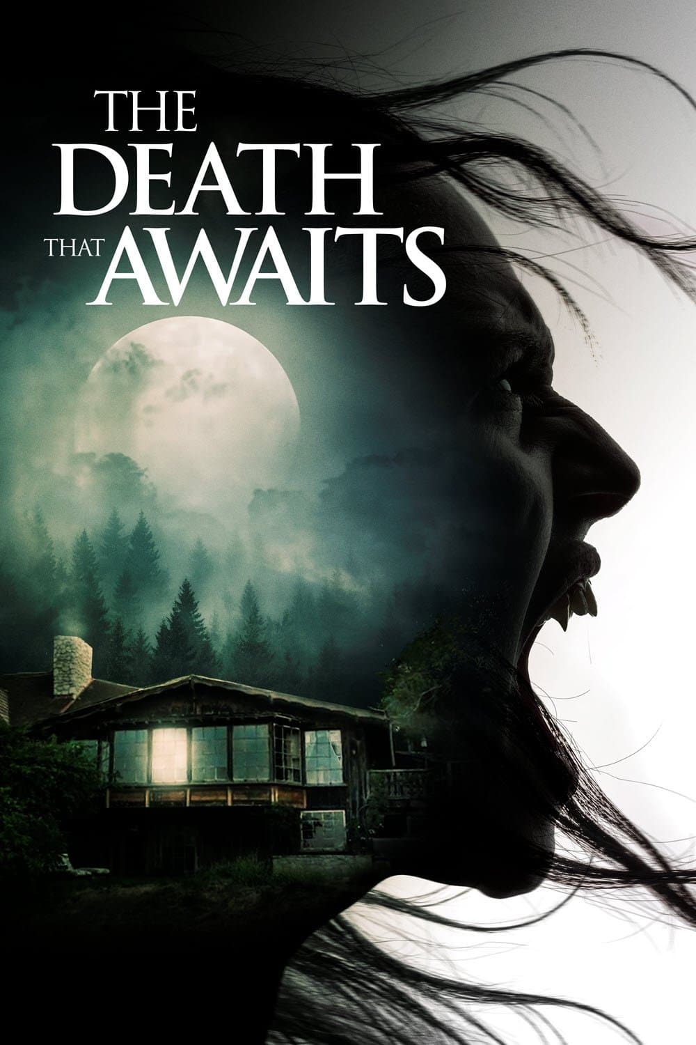 The Death That Awaits poster image
