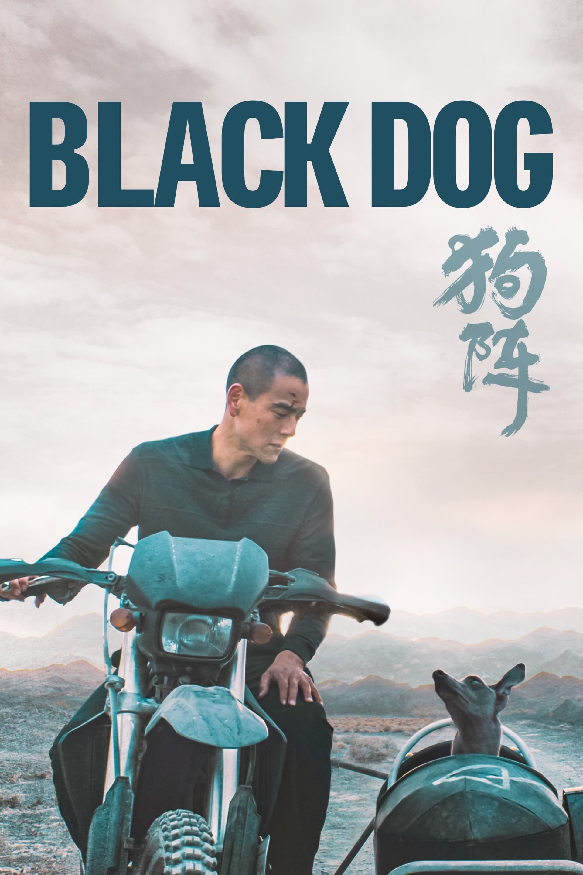 Black Dog poster image