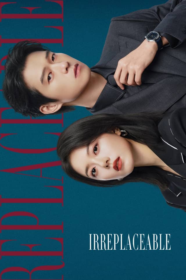 Irreplaceable poster image