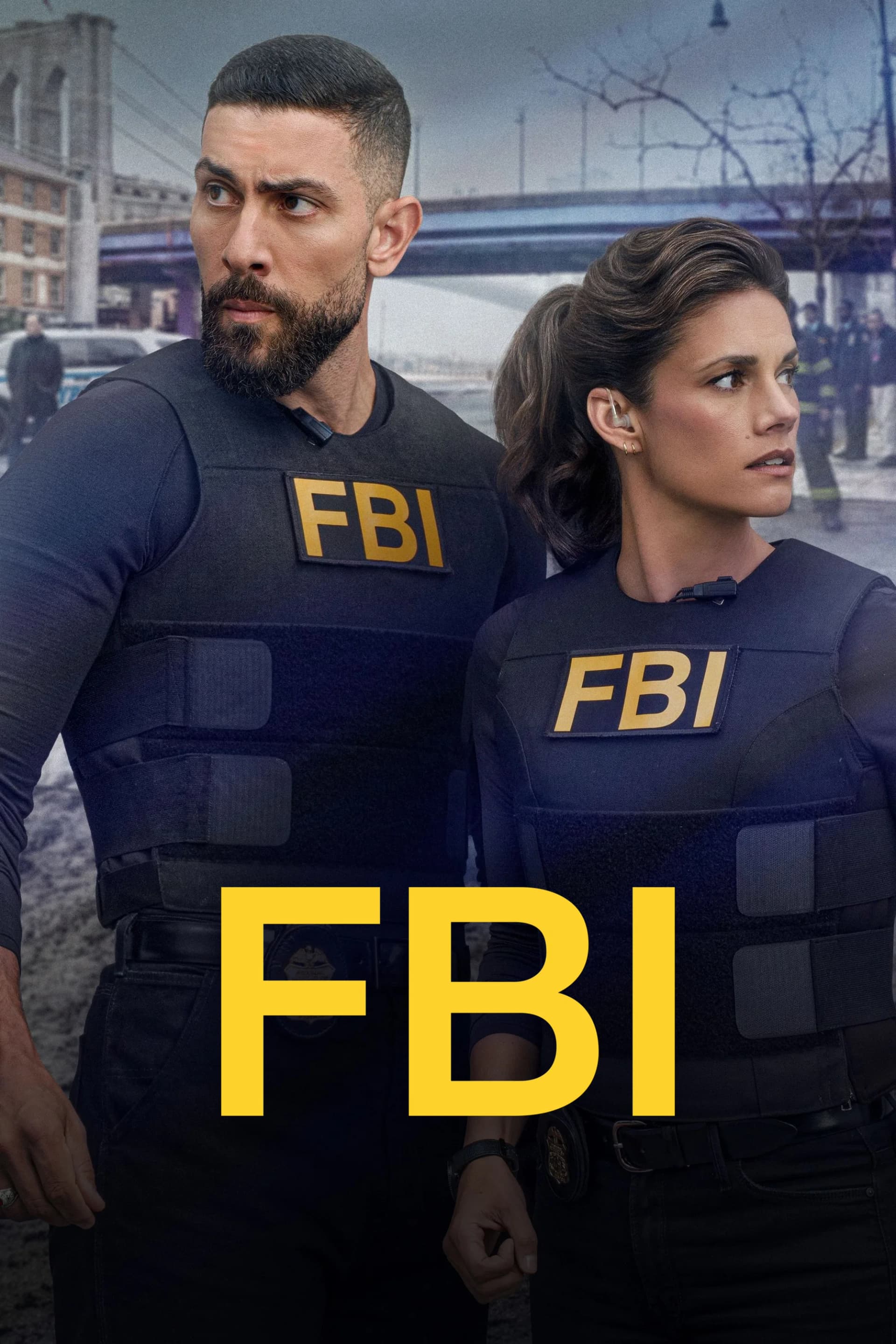 FBI poster image