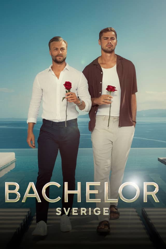 Bachelor Sweden poster image