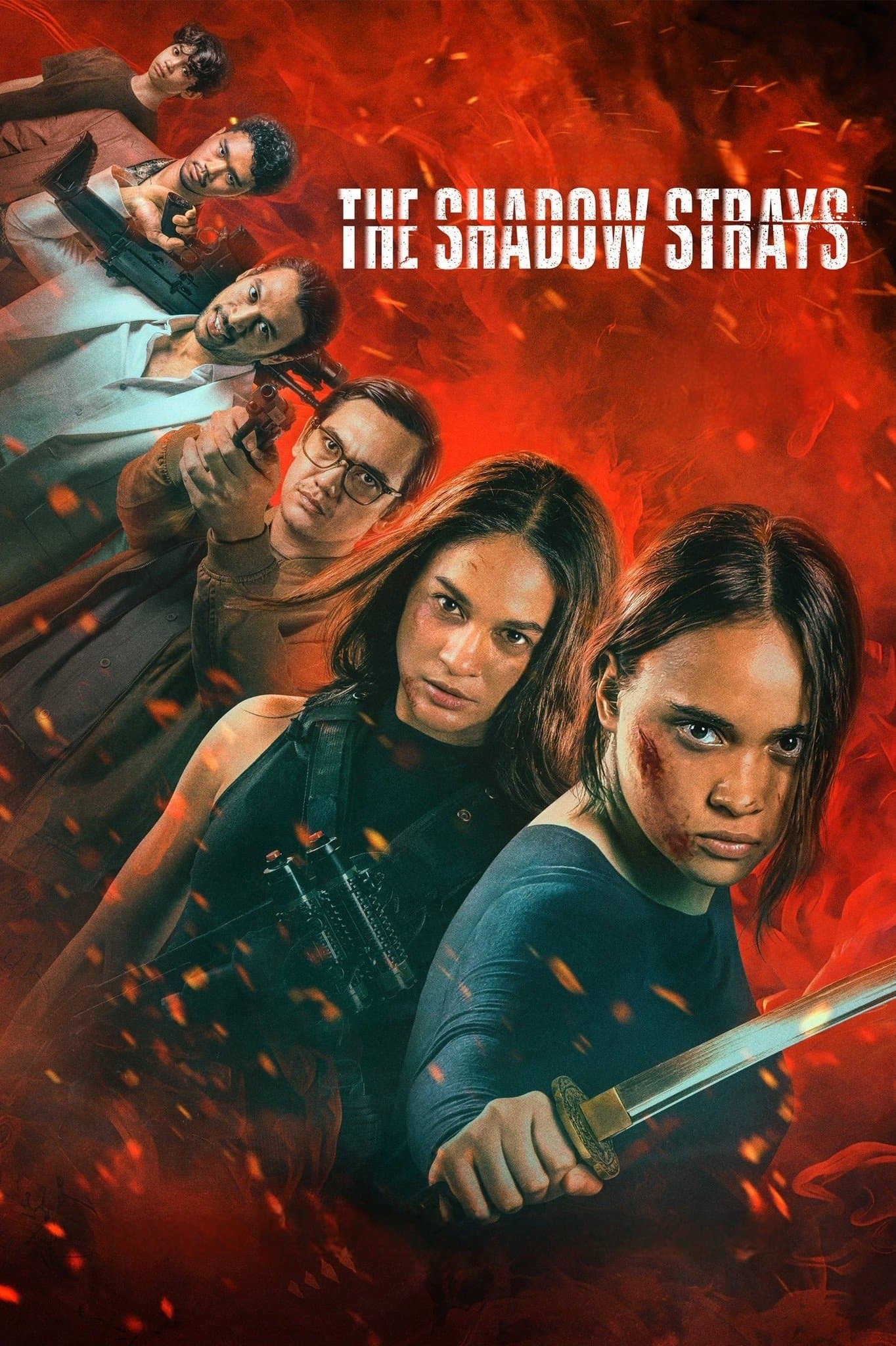 The Shadow Strays poster image