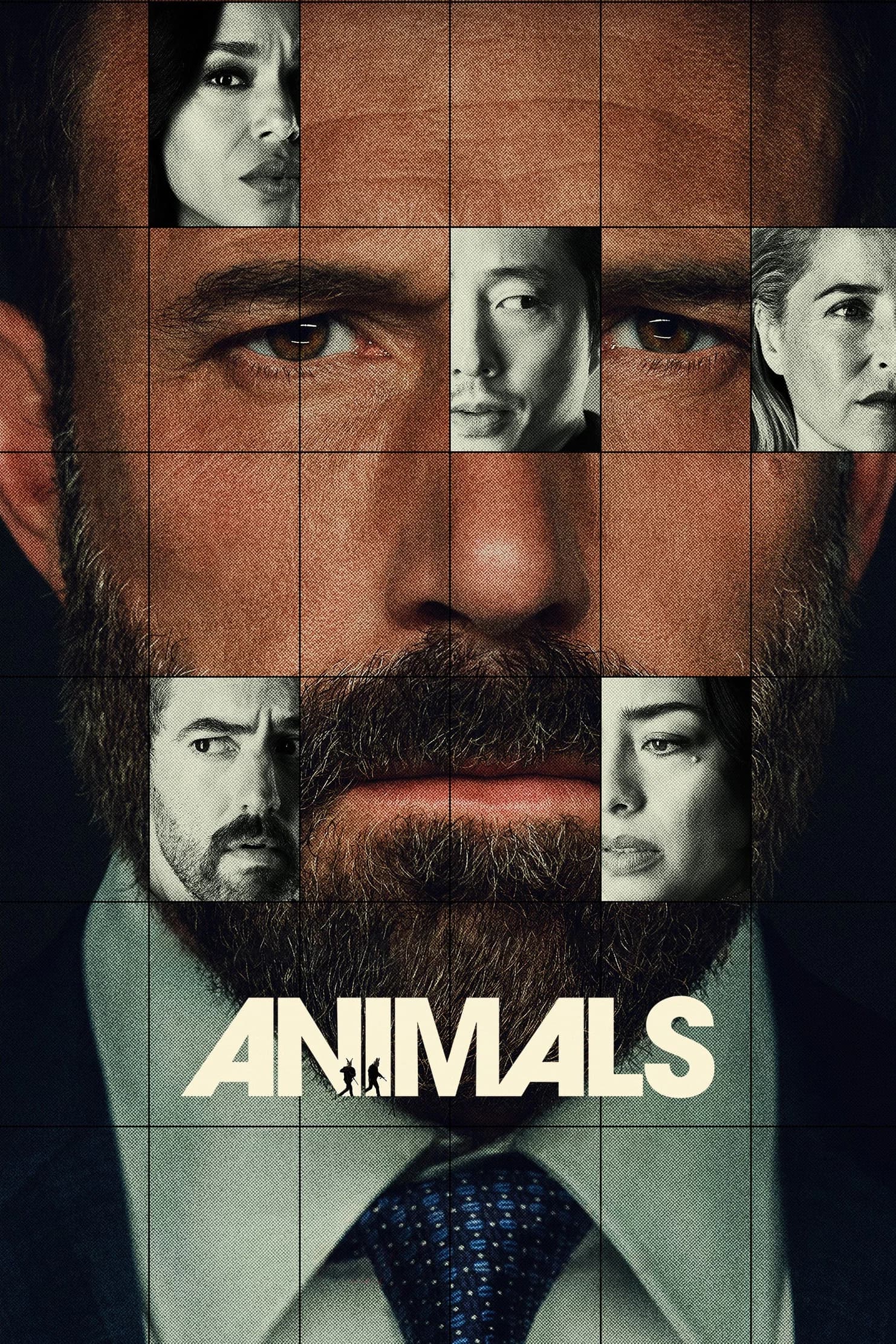 Animals poster image