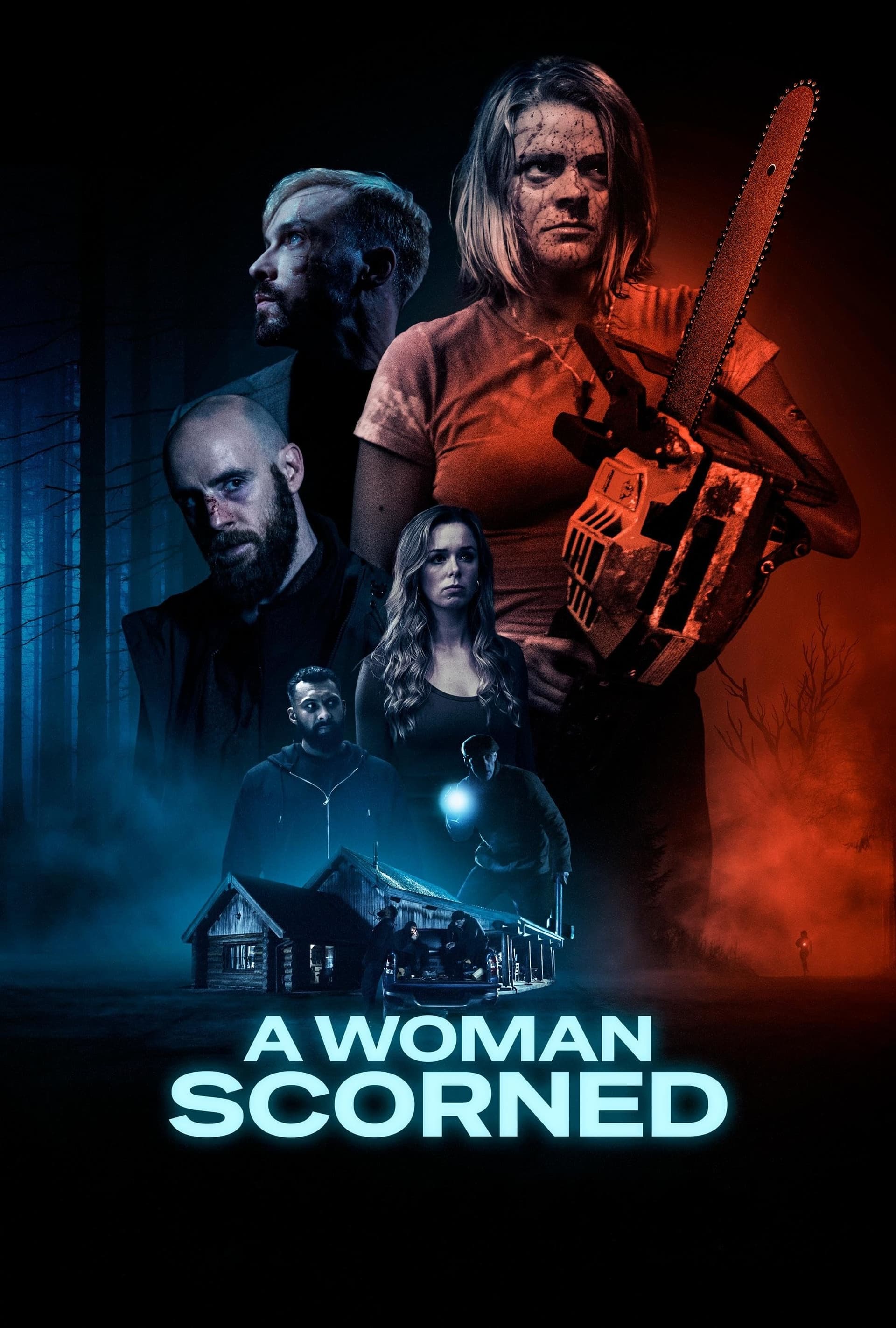 A Woman Scorned poster image