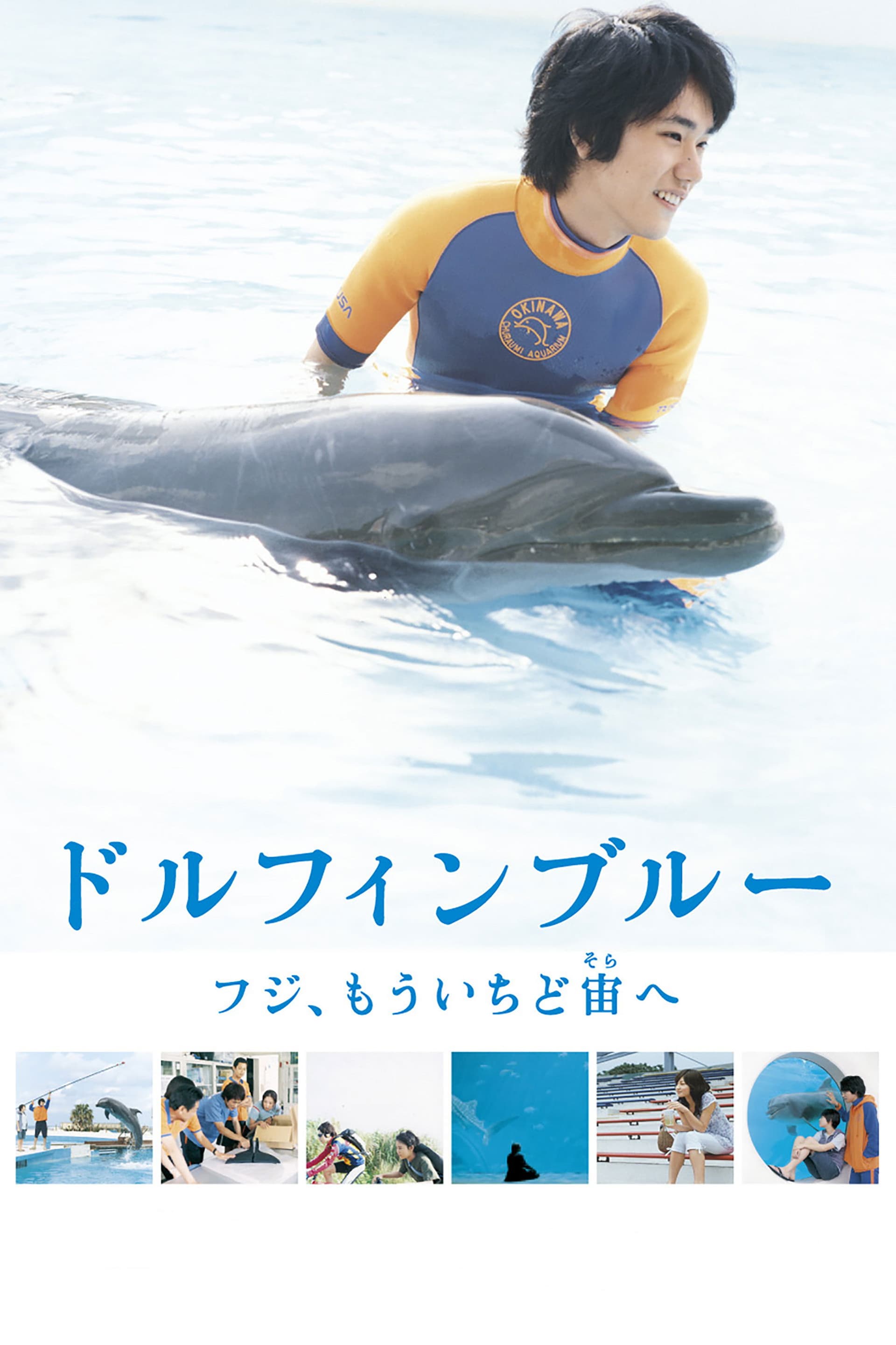 Dolphin Blue: Soar Again, Fuji poster image